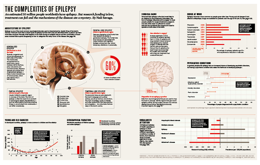 Editorial design for a special feature on epilepsy, published in Nature magazine.