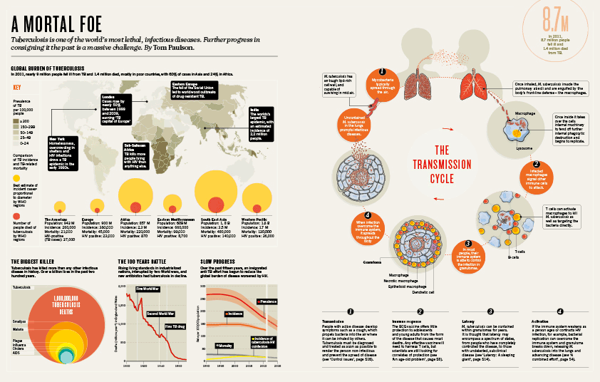 Nature Outlook special on tuberculosis.