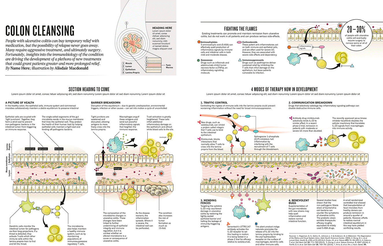 Graphic feature created for Nature Magazine.