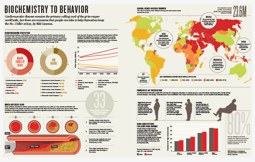 Infographic feature on cardiovascular disease, for Nature magazine.