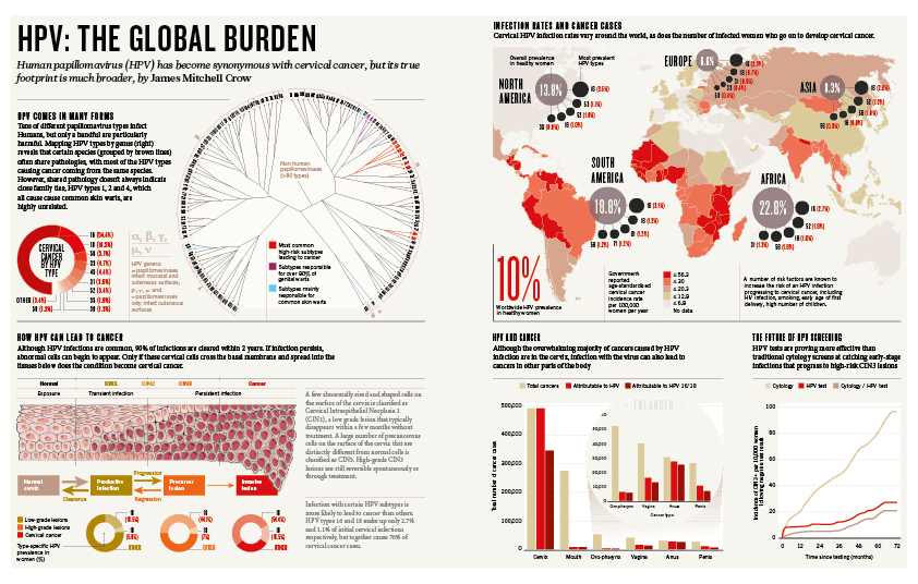 Nature Outlook graphic feature on HPV.