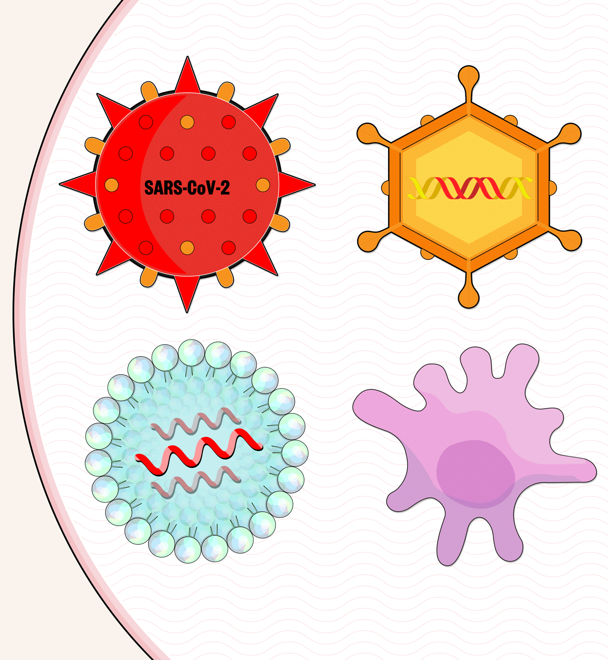 Graphic feature explaining COVID-19 vaccine development for The Pharmaceutical Journal