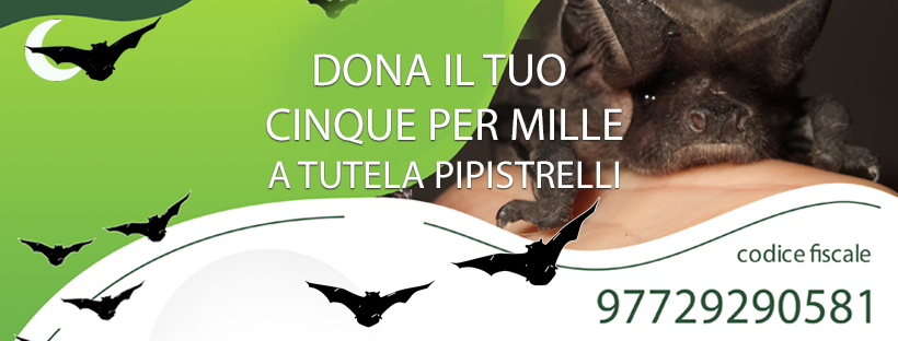 campagna Dona il tuo 5xmille a Tutela Pipistrelli