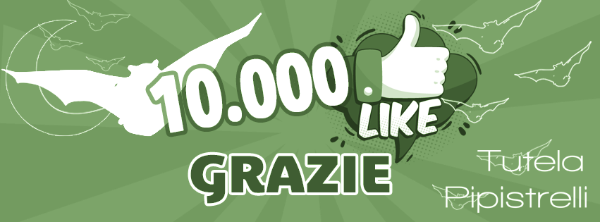 banner pagina Facebook Tutela Pipistrelli