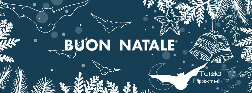 banner pagina Facebook Tutela Pipistrelli