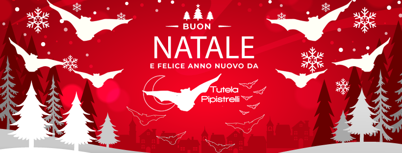 banner pagina Facebook Tutela Pipistrelli
