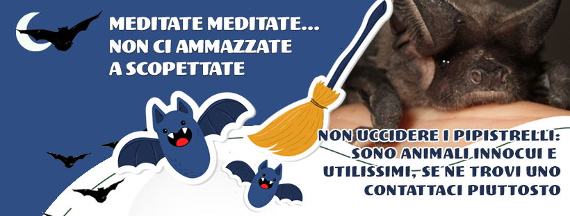 banner pagina Facebook Tutela Pipistrelli
