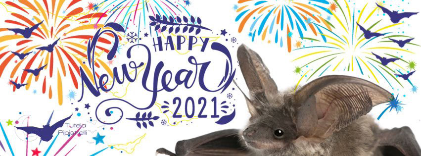 banner pagina Facebook Tutela Pipistrelli
