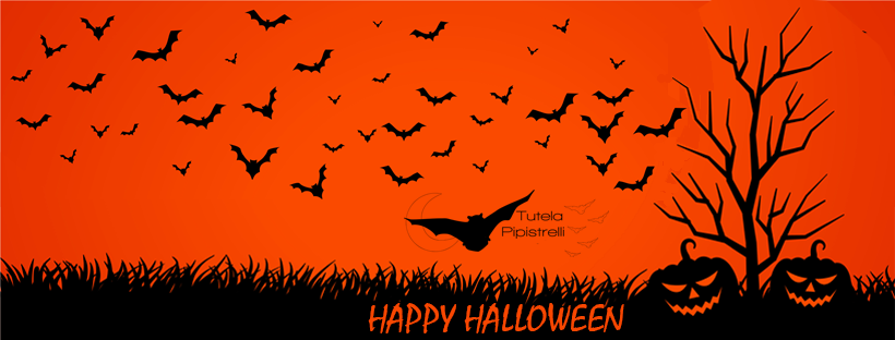 banner pagina Facebook Tutela Pipistrelli