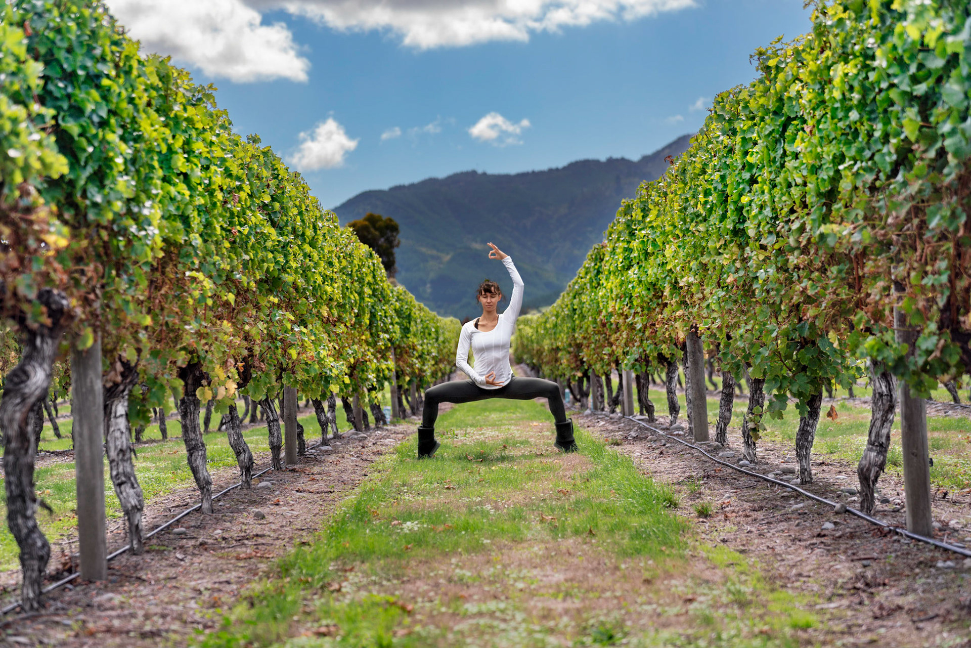 Marlborough, New Zealand