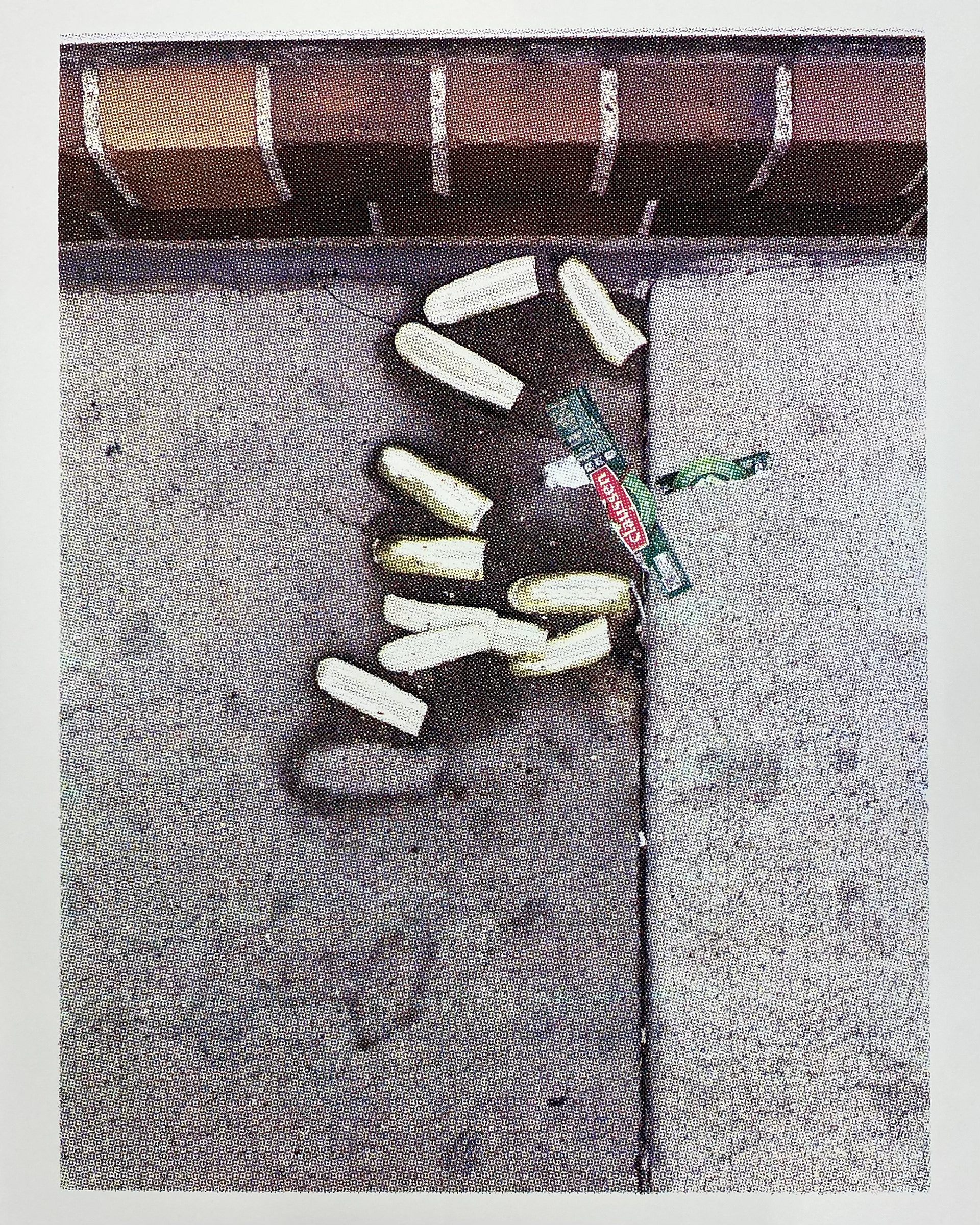 pickle print pickle print pickle print