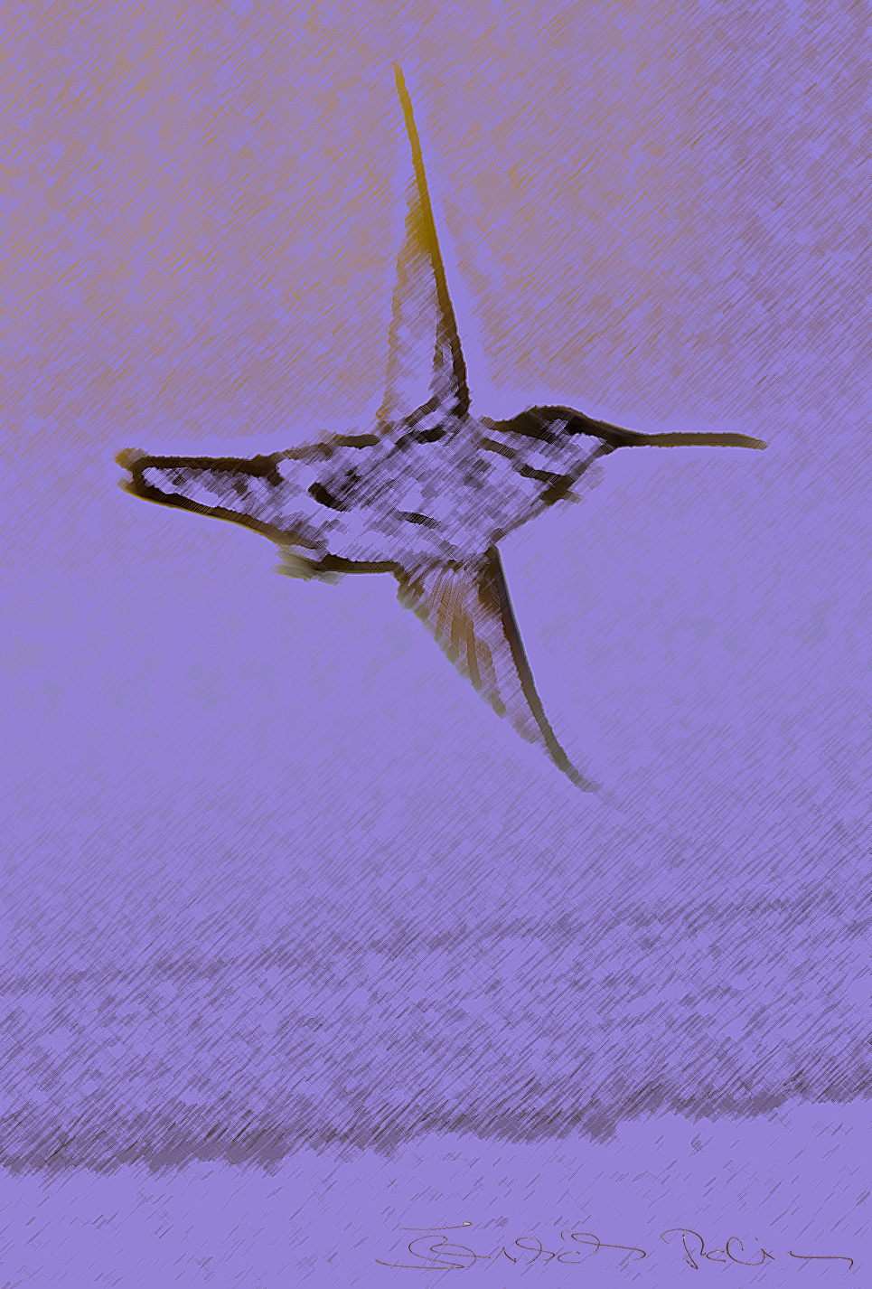 Hummingbird