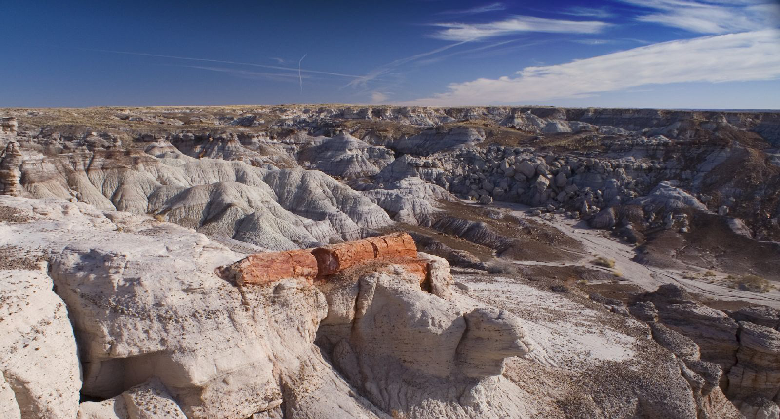 Petrified Forest NP