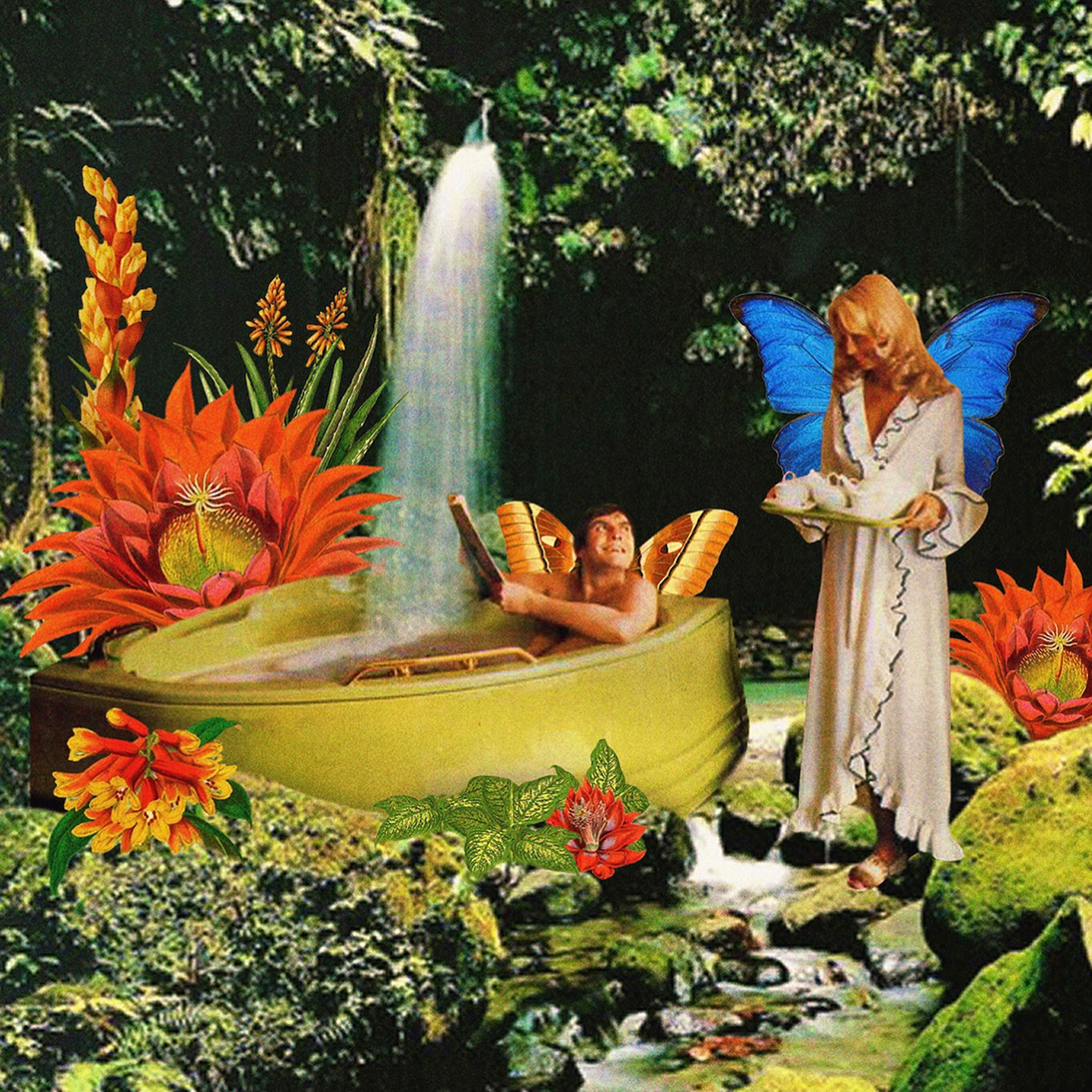 Oasis