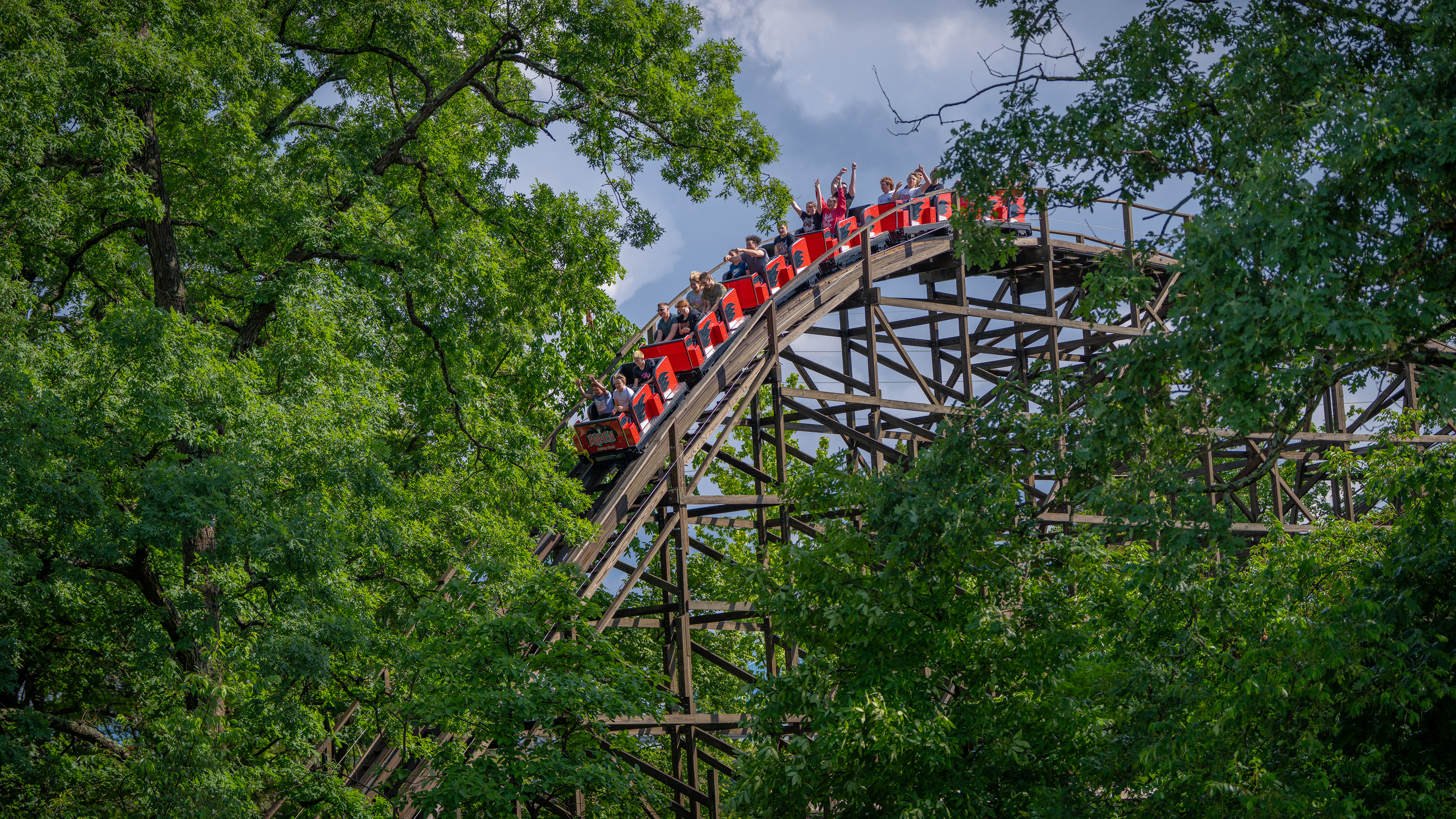 Raven - Holiday World