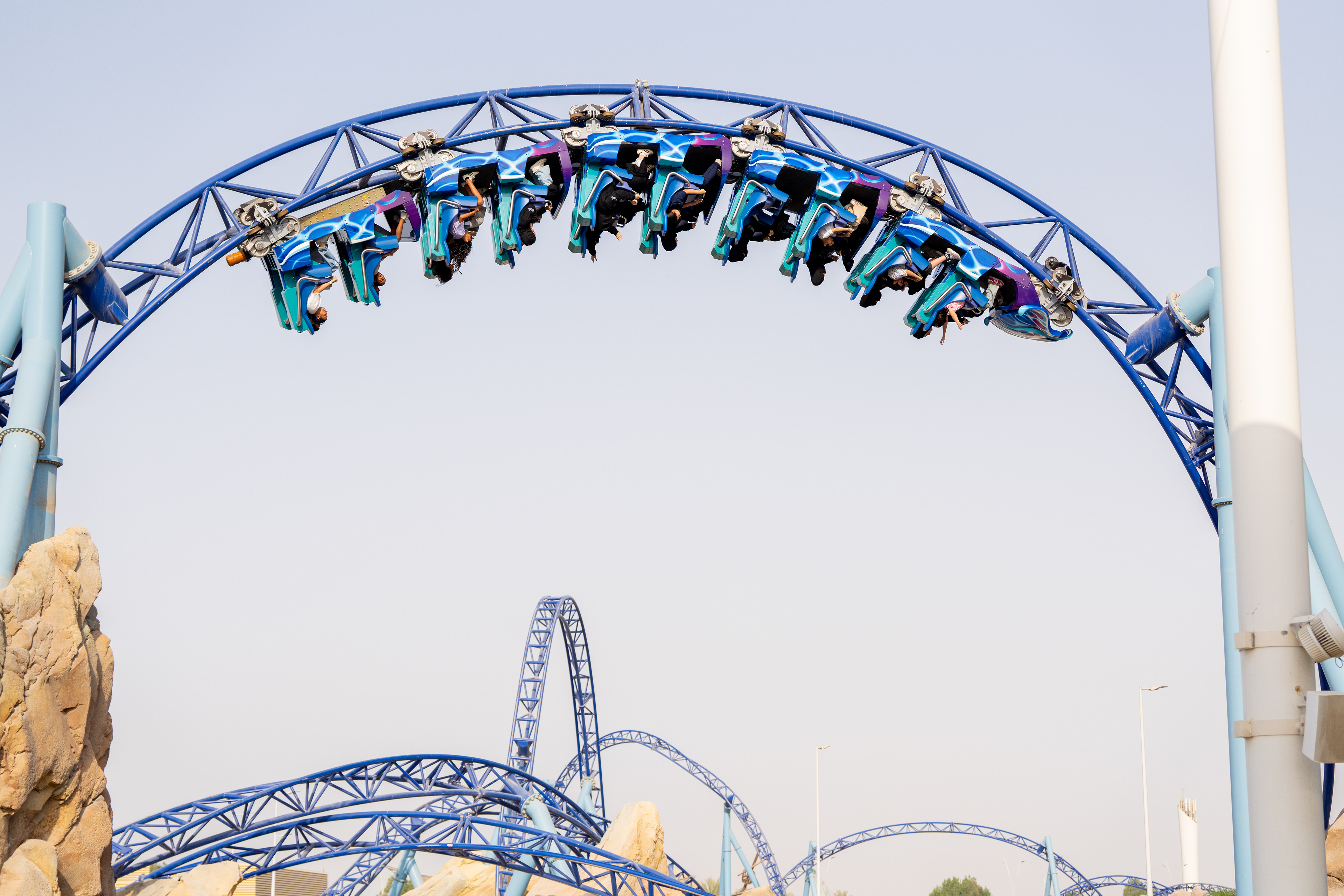 Manta - SeaWorld Abu Dhabi