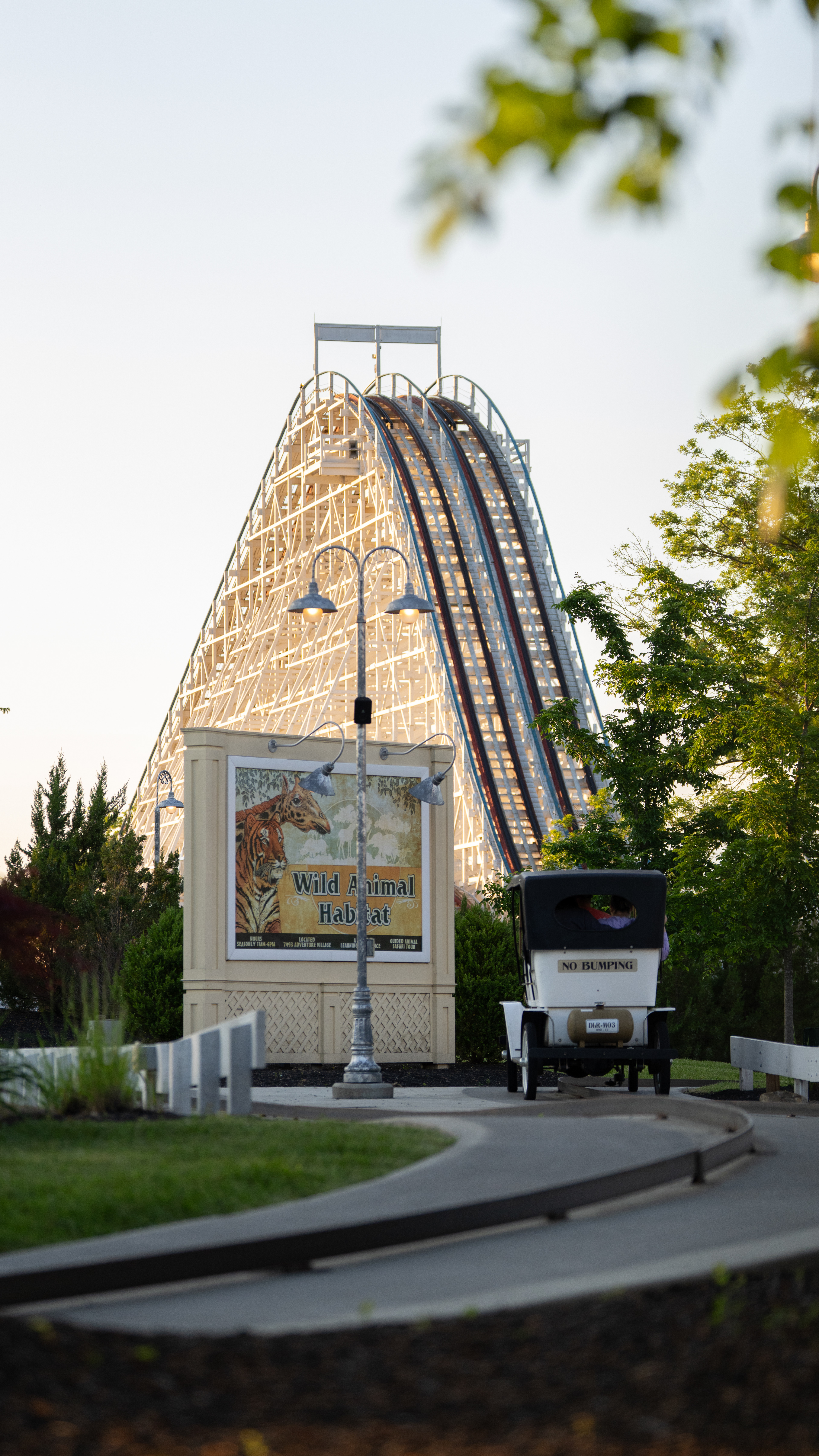 Racer - Kings Island