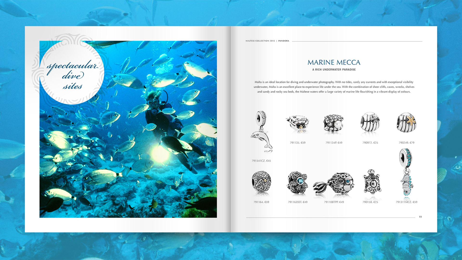 The Pandora. Maltese Collection. Spectacular drive sites. Marine Mecca - A rich underwater paradise.