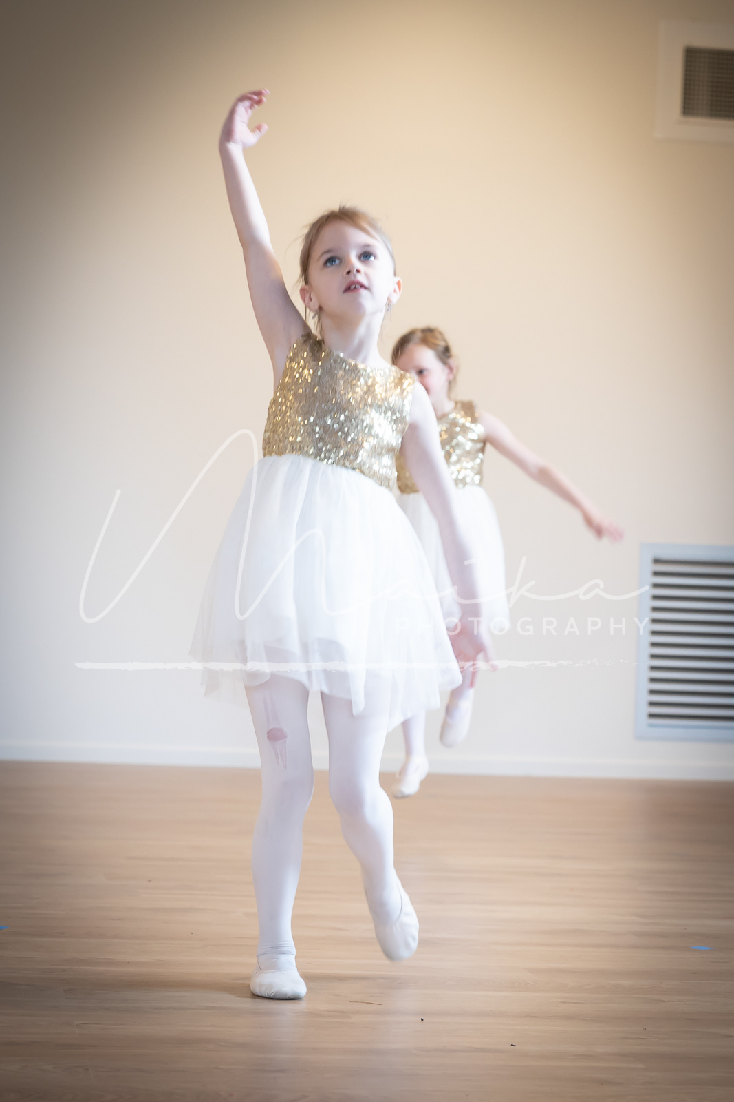 Artis_73A0343