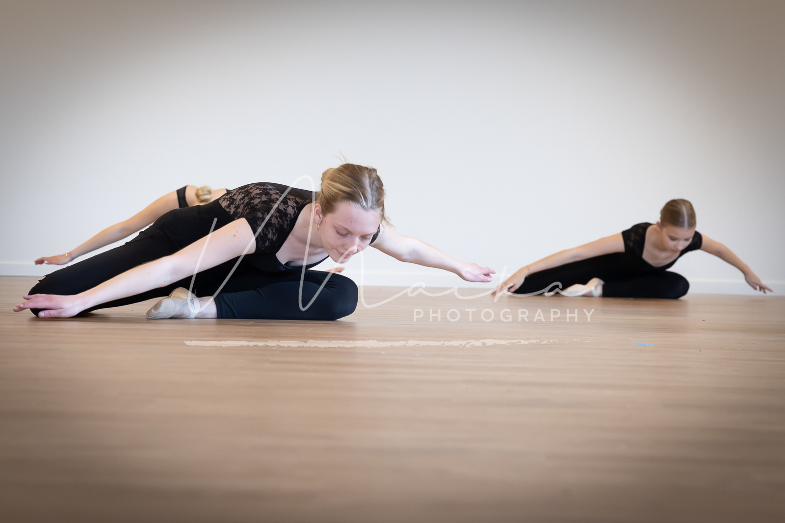 Artis_73A0093