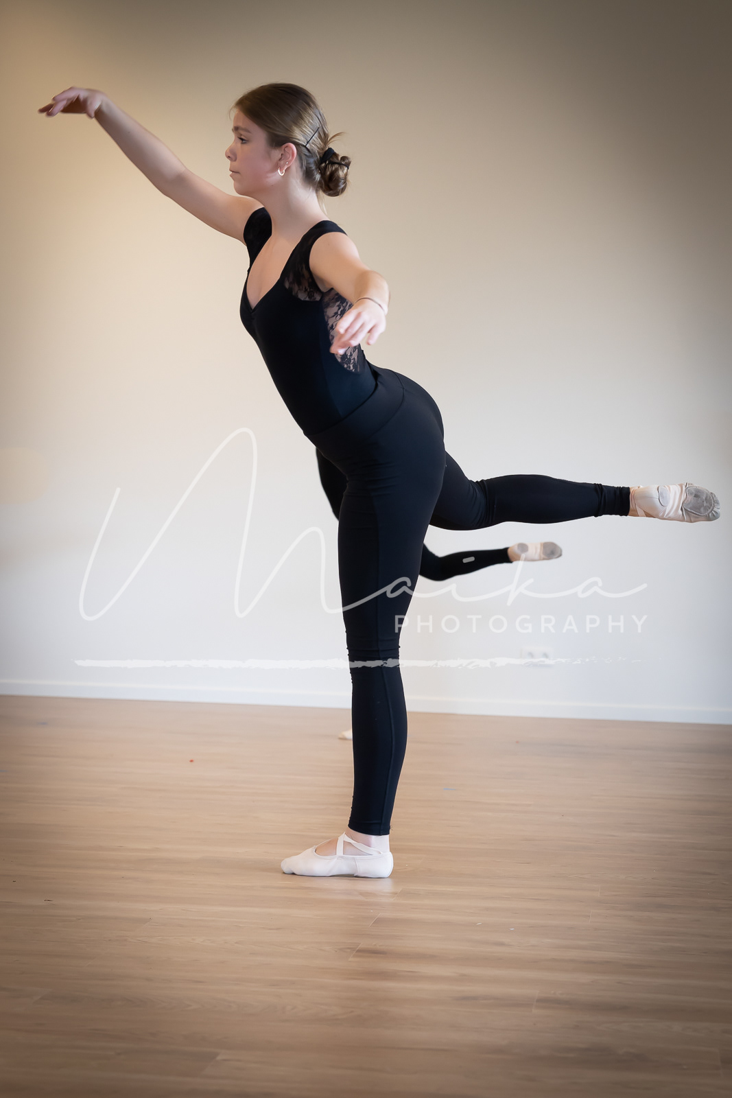 Artis_73A0086