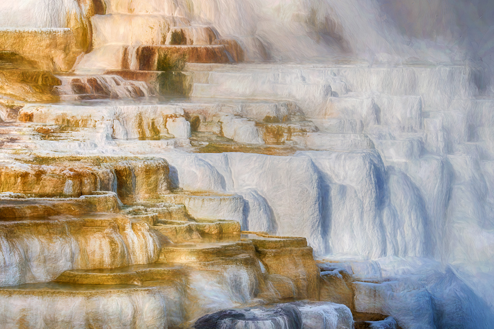 Mammoth Hot Springs by Dennis H. Miller