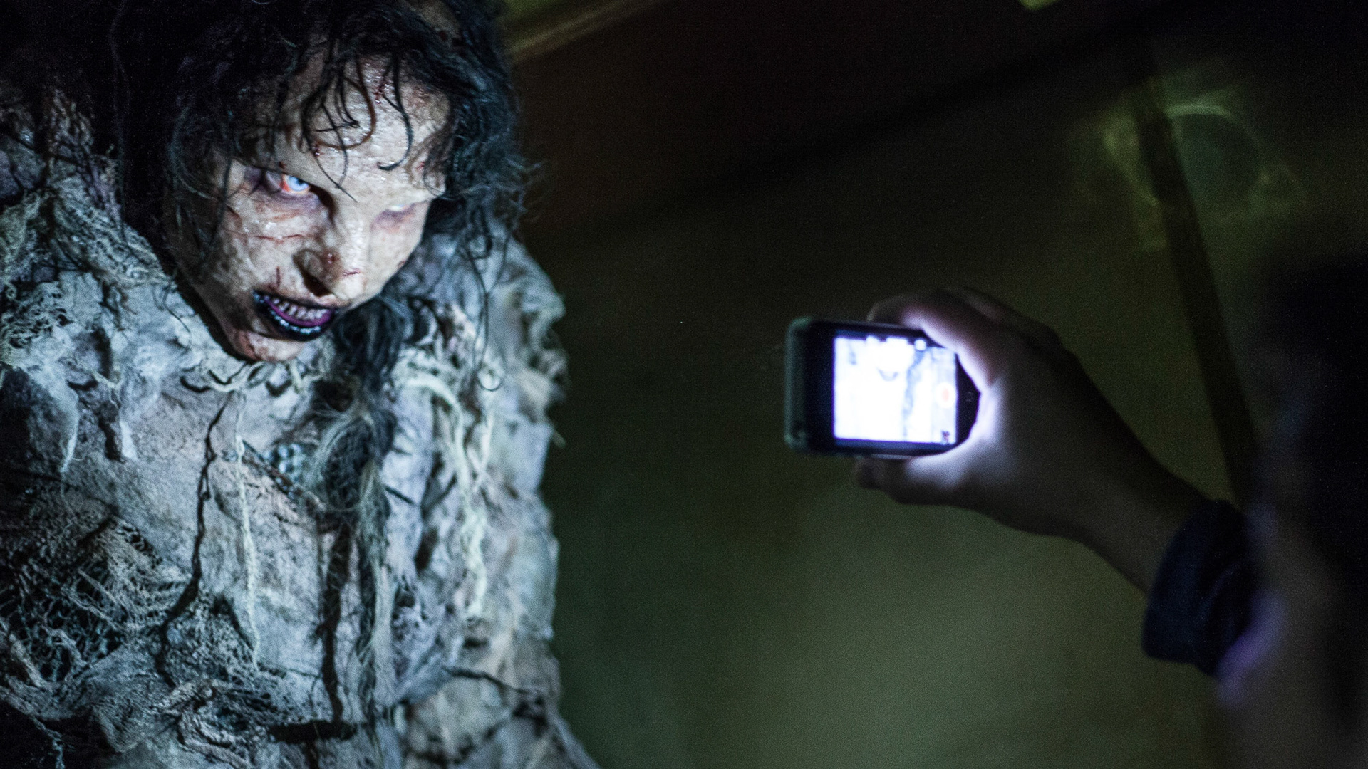 © 2024 Casey Crafford