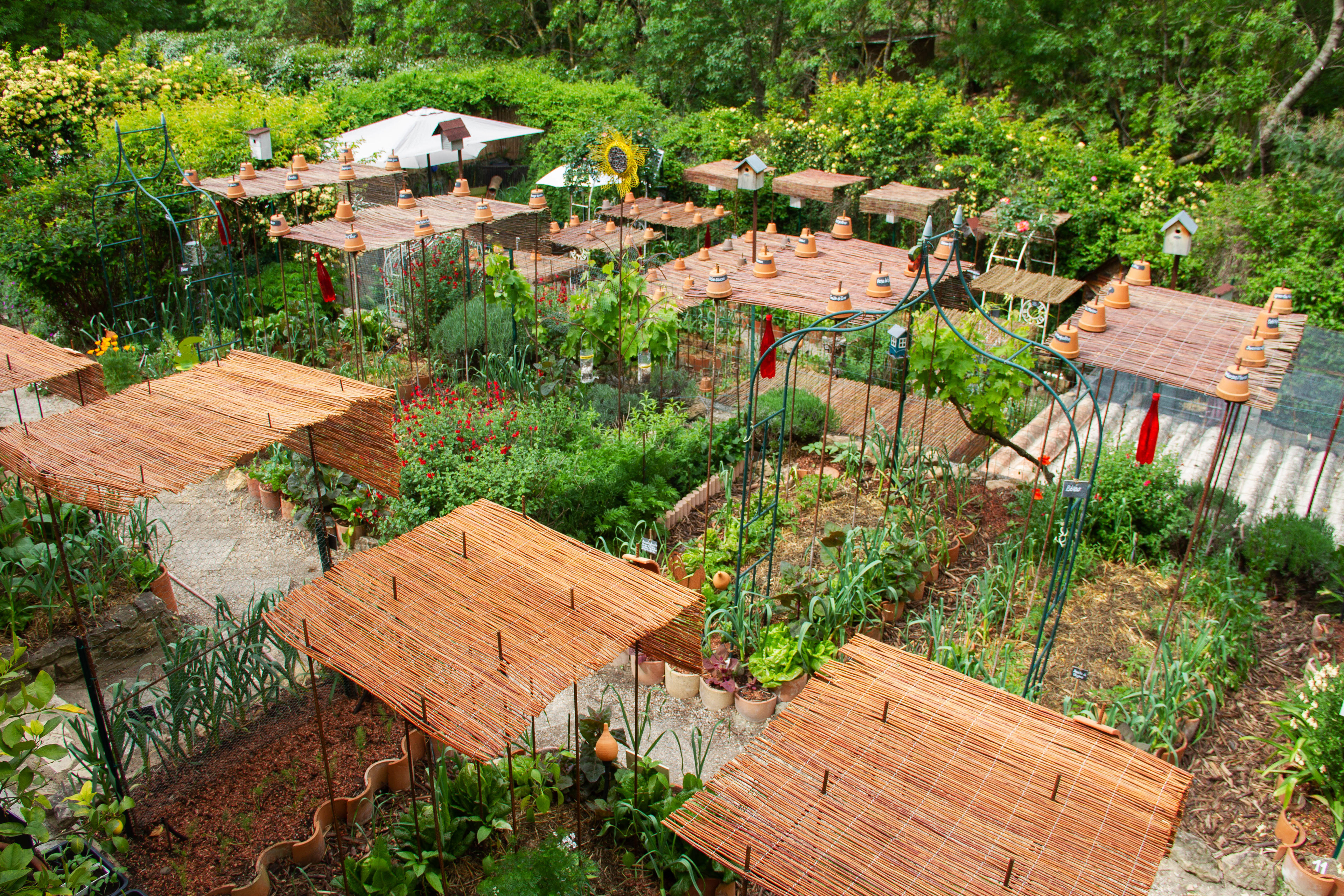 Cathy Babau, meilleure jardinière de France. Occitanie, les métiers botaniques impactés par la sécheresse précoce, mai 2023, Haut-Languedoc, Occitanie