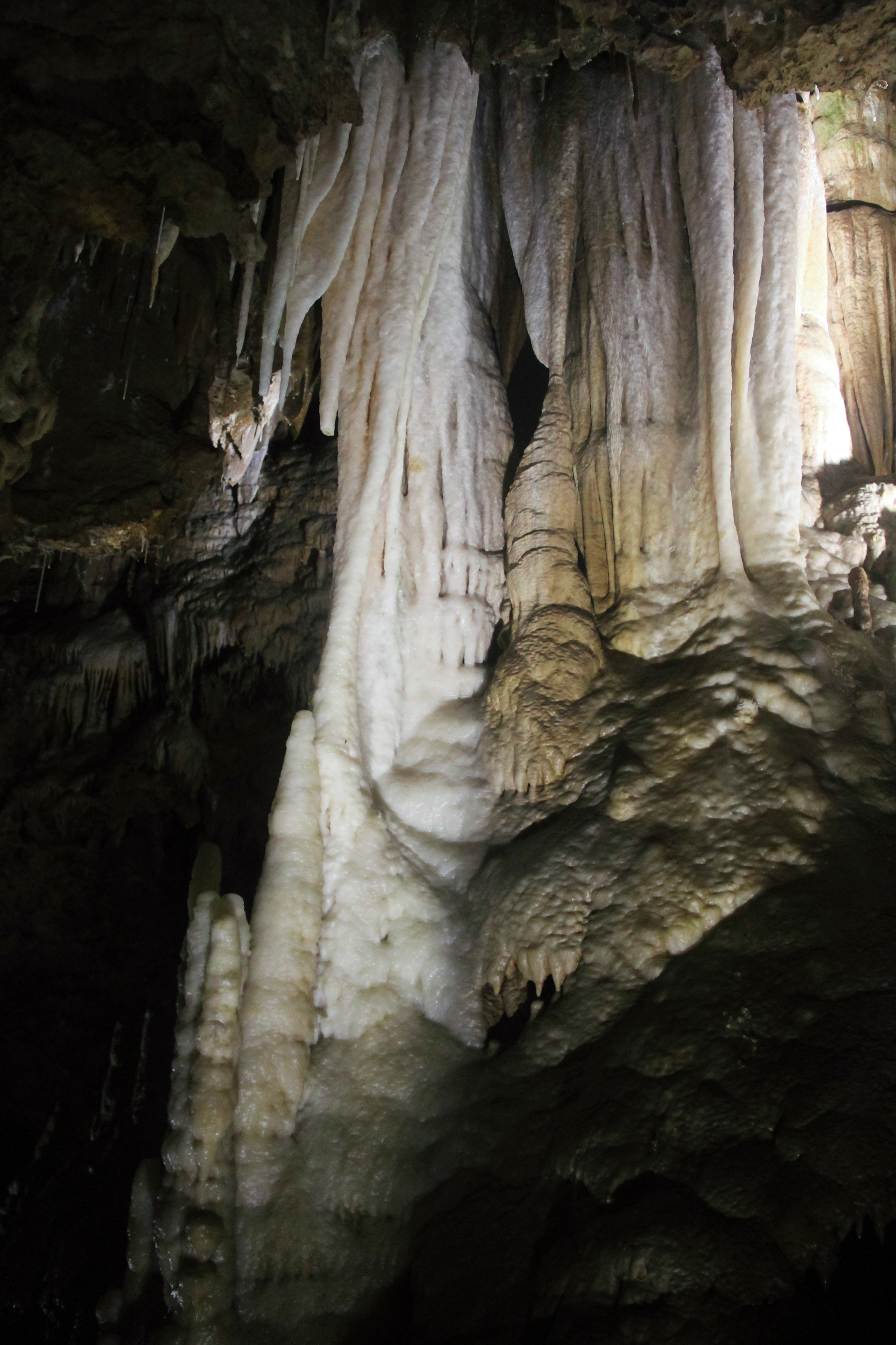 Grotte de Clamouse, parties publiques. Novembre 2022, Hérault