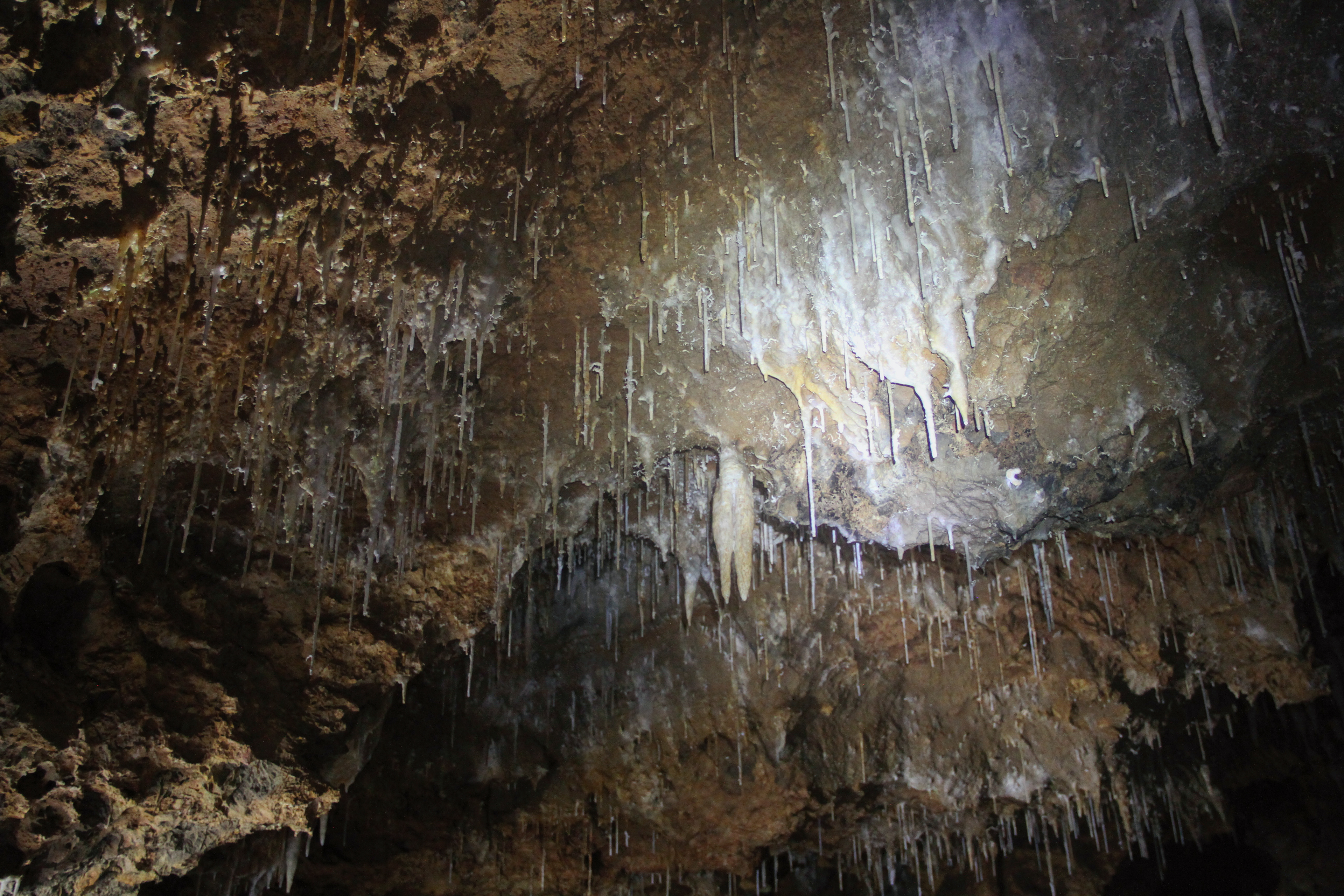 Grotte de Clamouse, parties publiques. Novembre 2022, Hérault