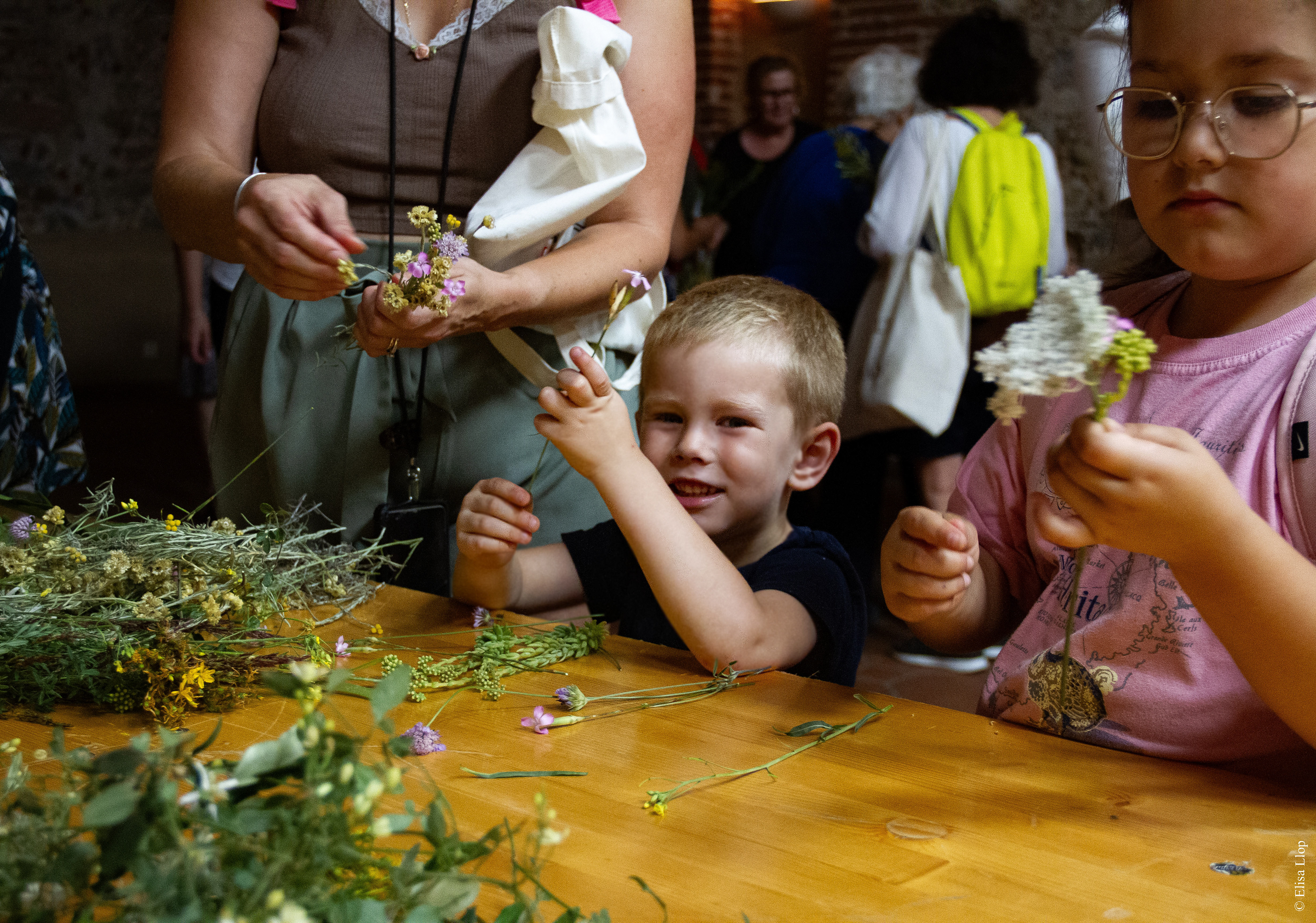 Cueillette des fleurs de la Saint-Jean, et confections des "ramallets" (bouquets) traditions catalanes, 22 juin 2023, Baixas, Pyrénées-Orientales