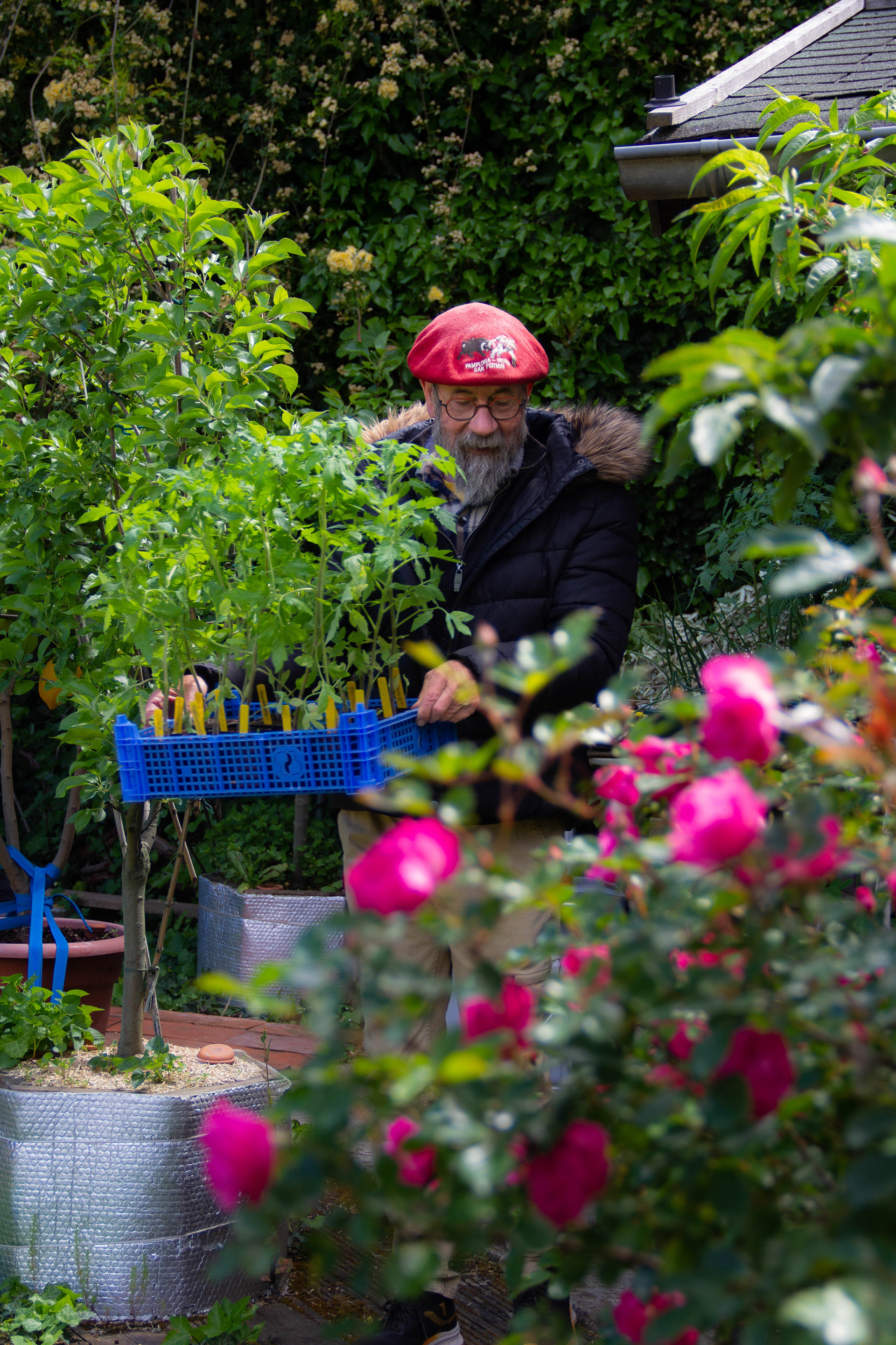 Jean Aribaud, meilleur jardinier de France. Occitanie, les métiers botaniques impactés par la sécheresse précoce, mai 2023, Haut-Languedoc, Occitanie