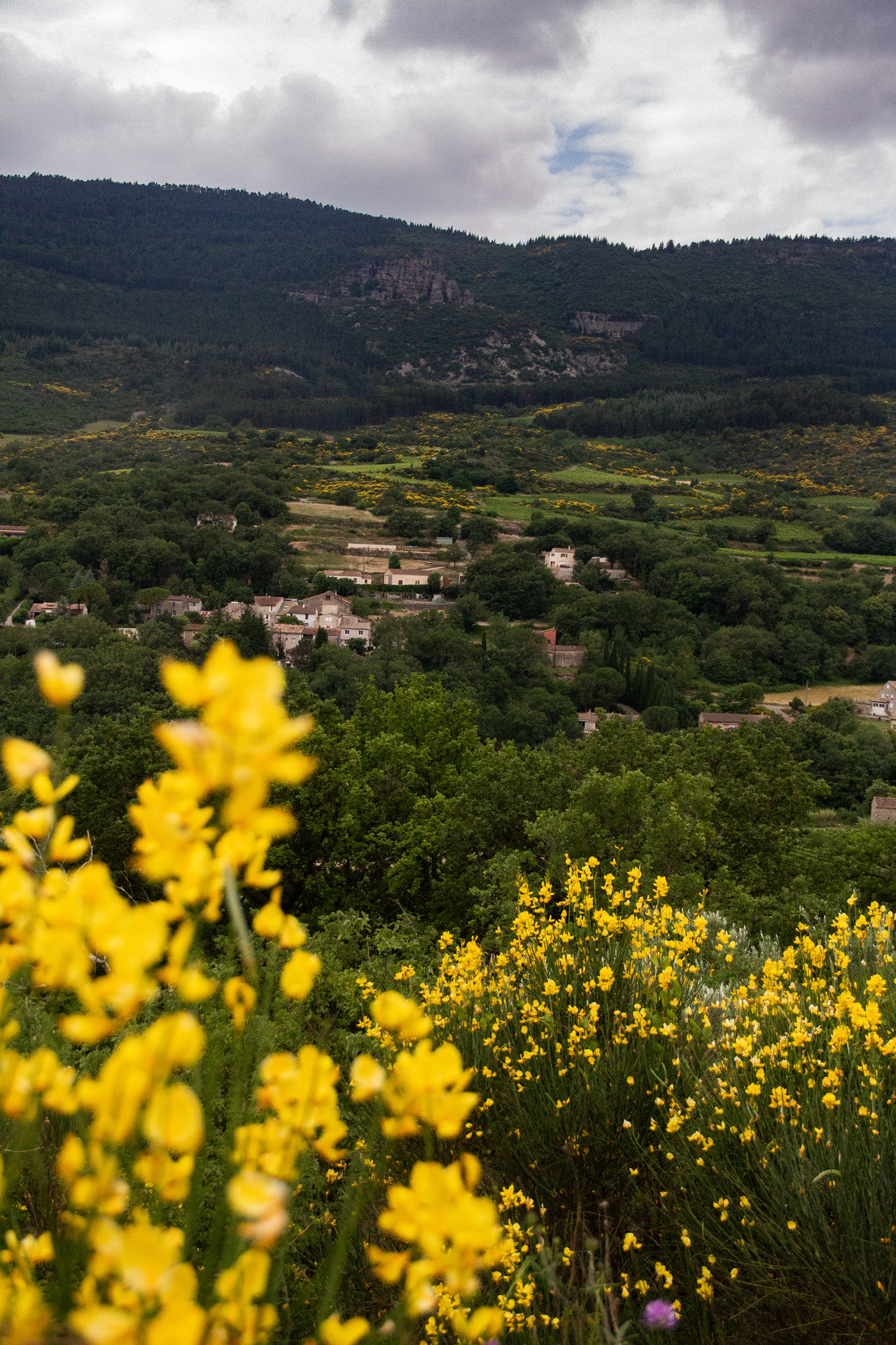 Lauroux, cirque de Labeil, Larzac, été 2024