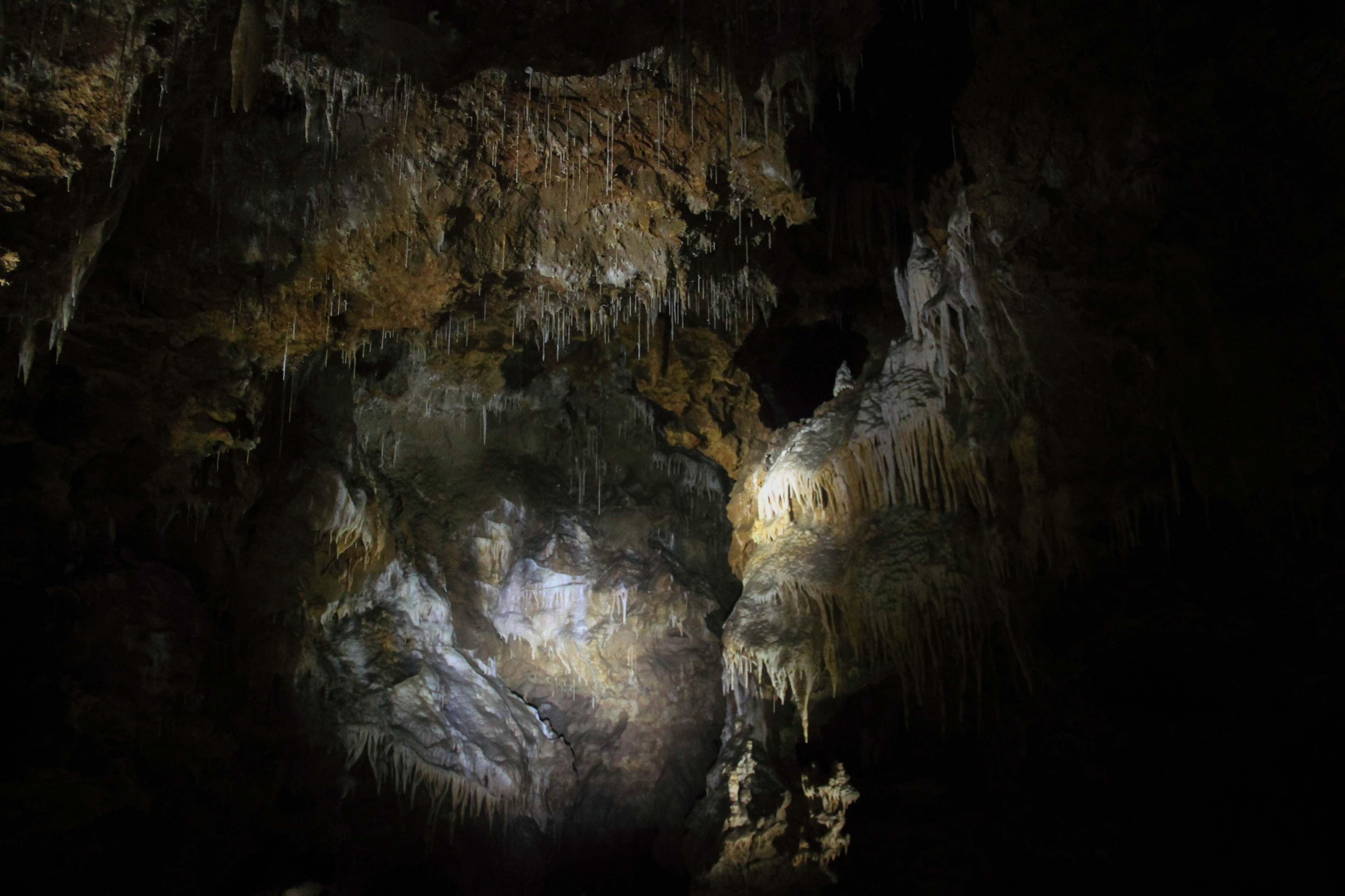 Grotte de Clamouse, parties publiques. Novembre 2022, Hérault