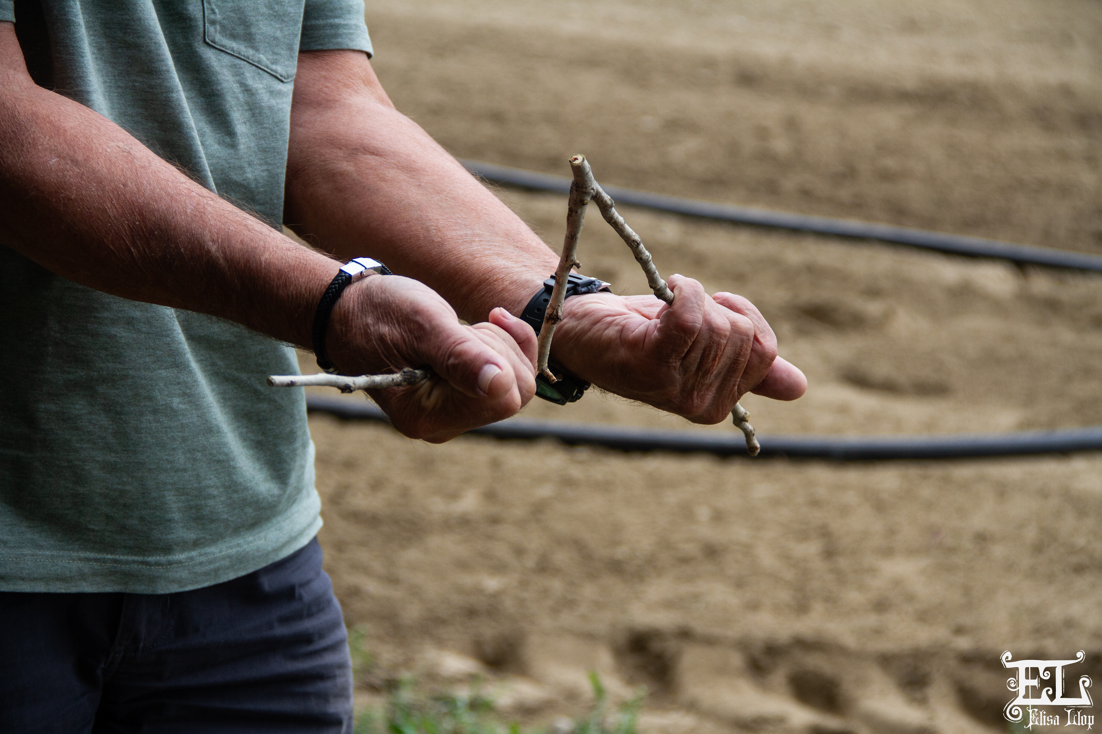 Pierre* (prénom d'emprunt) a lui aussi exercé gratuitement toute sa vie. Pour trouver l'eau, il utilise une branche de peuplier uniquement, qui finira inévitablement par se casser à cause de la 'pression ou influence de l'eau'. Pour déterminer la profondeur, il aura ensuite recours à une sorte de pendule, encore ici personnalisé. Septembre 2024, PO