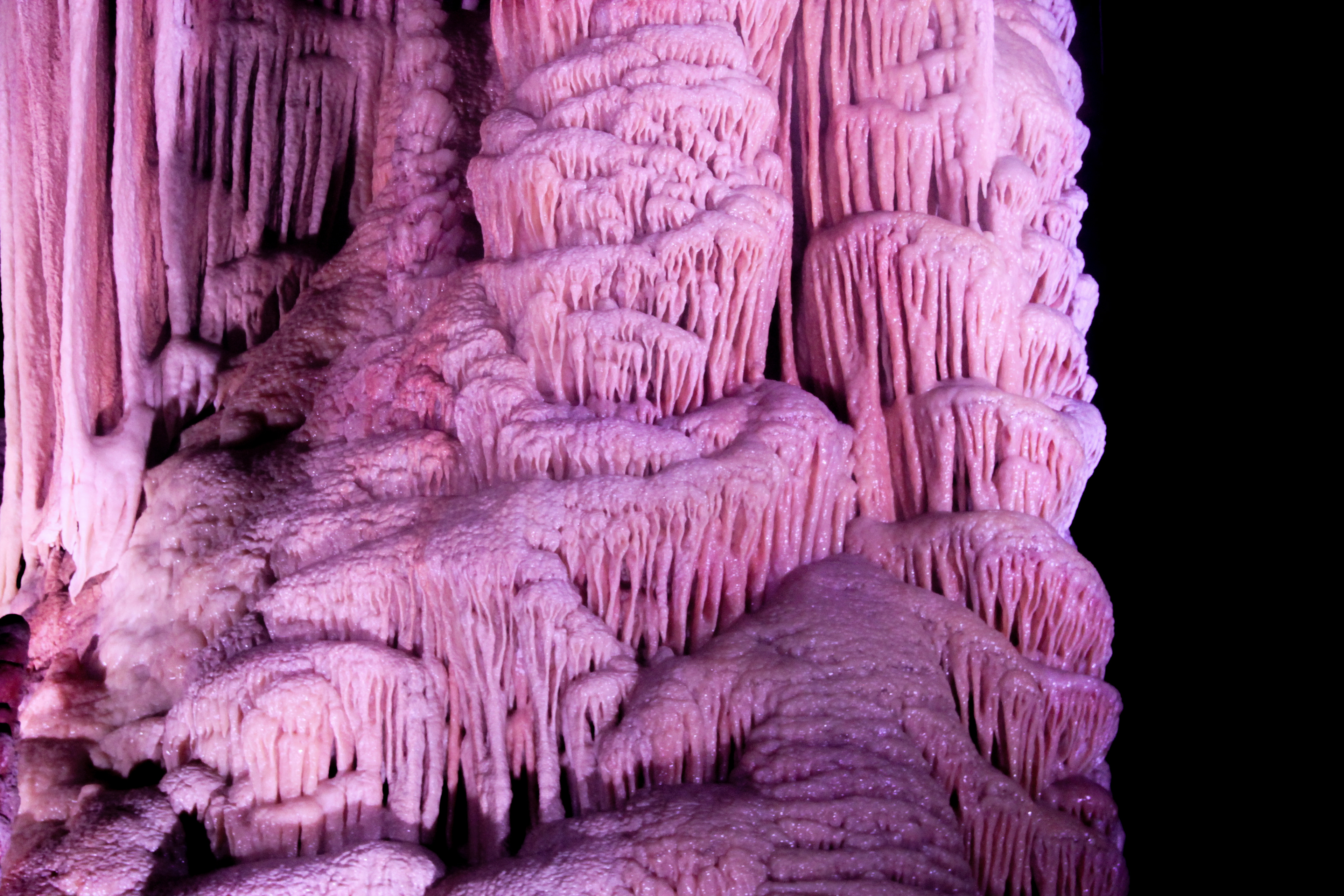 Grotte de Clamouse, parties publiques. Novembre 2022, Hérault