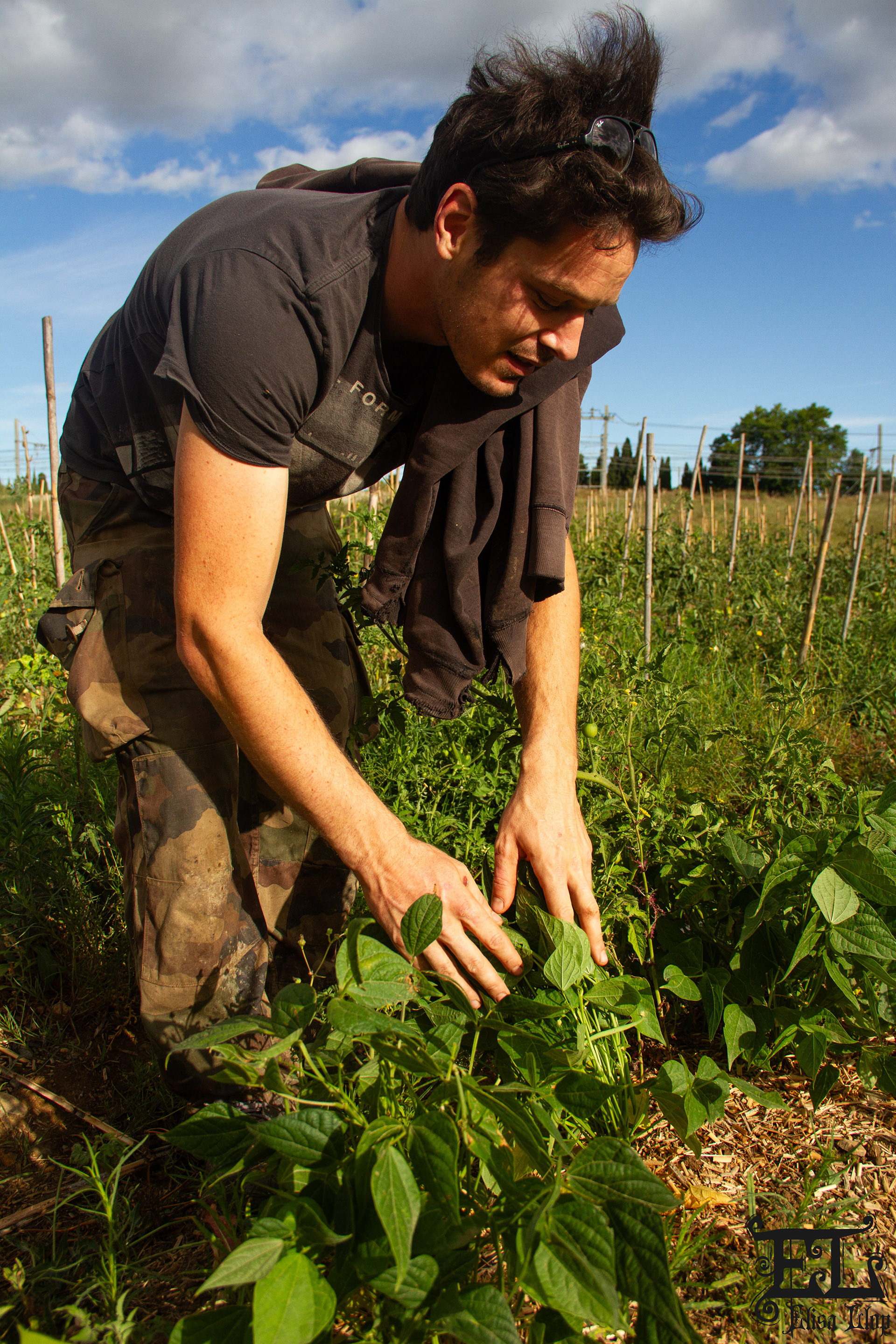 Thomas, jeune producteur 100% biologique, juin 2024, PO