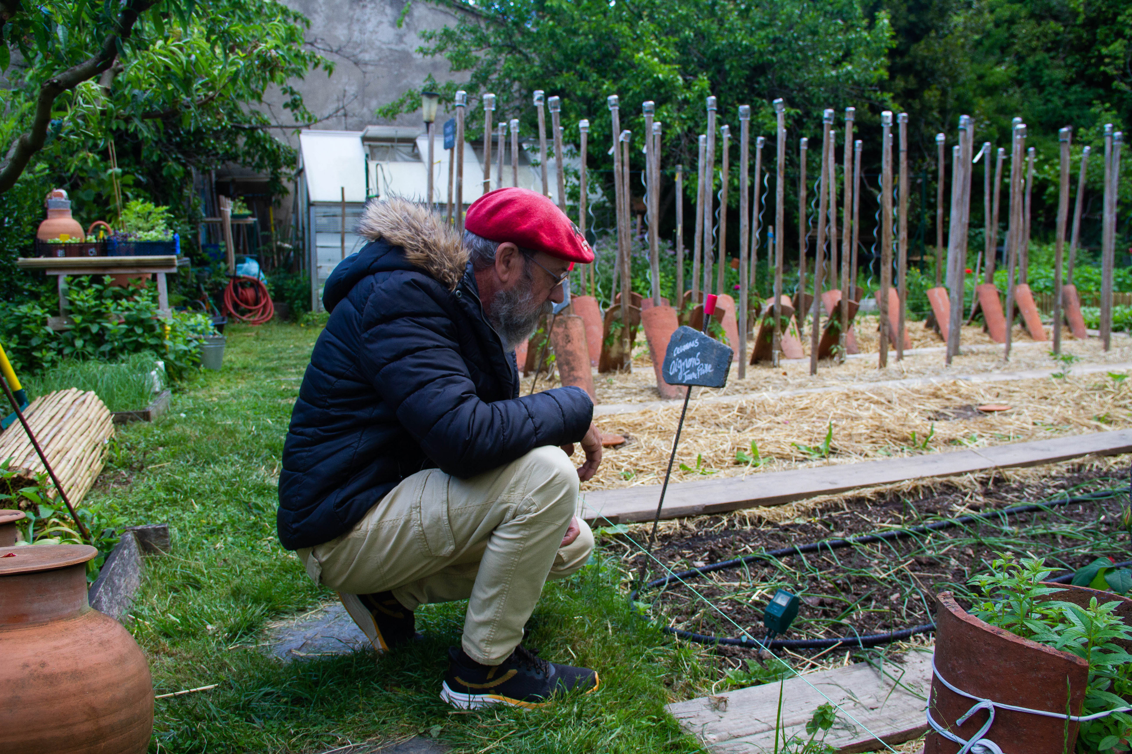 Jean Aribaud, meilleur jardinier de France. Occitanie, les métiers botaniques impactés par la sécheresse précoce, mai 2023, Haut-Languedoc, Occitanie