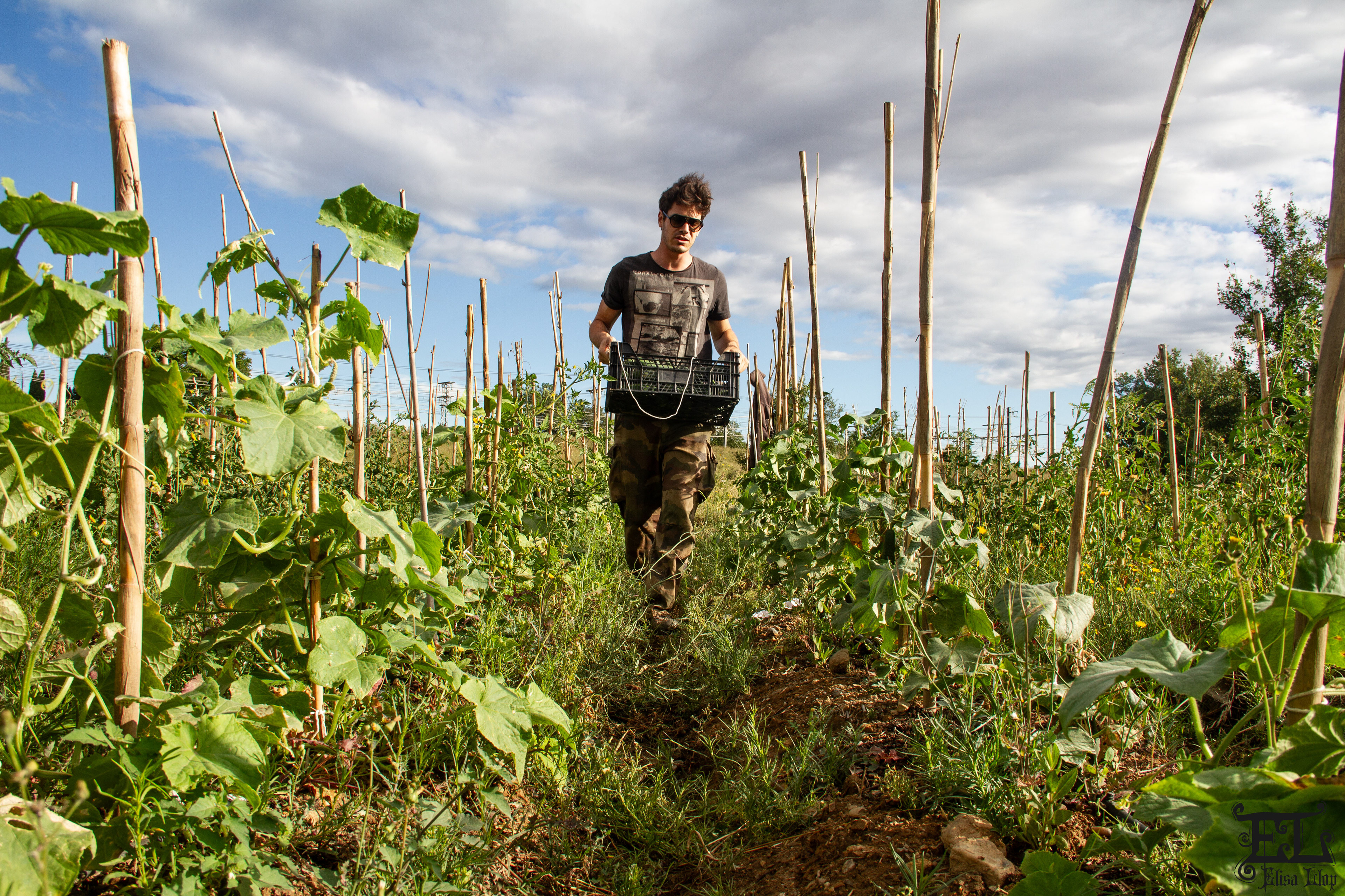 Thomas, jeune producteur 100% biologique, juin 2024, PO