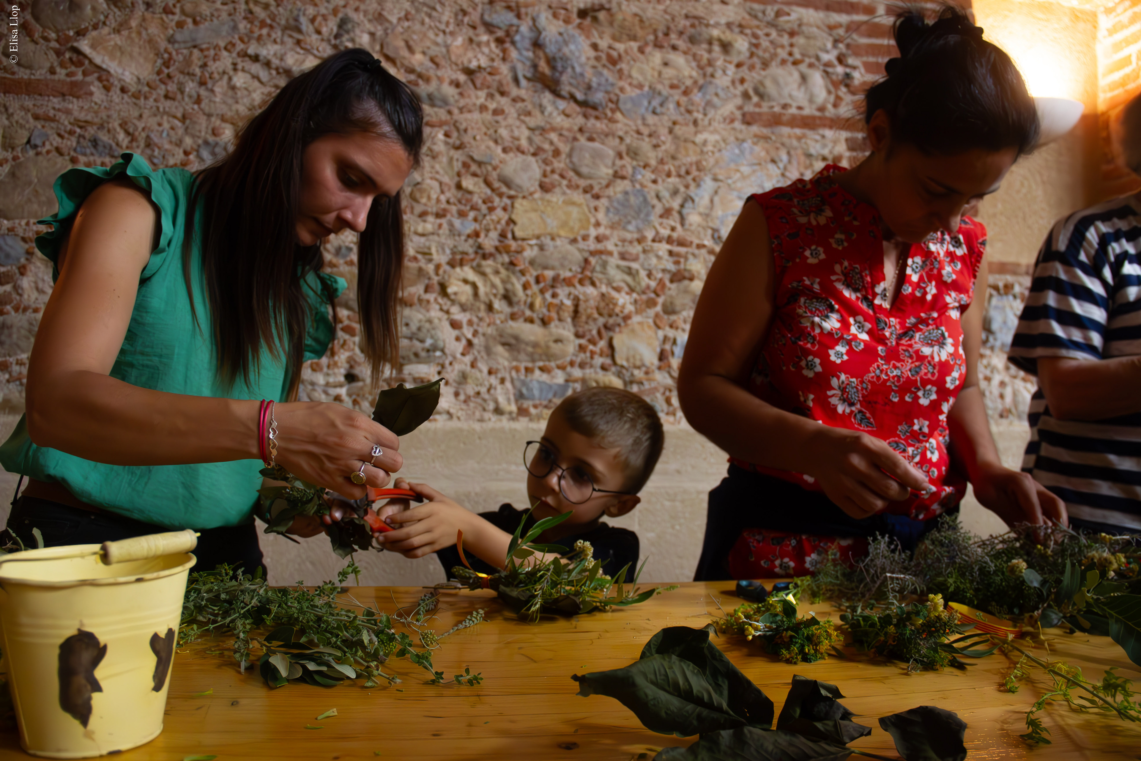 Cueillette des fleurs de la Saint-Jean, et confections des "ramallets" (bouquets) traditions catalanes, 22 juin 2023, Baixas, Pyrénées-Orientales