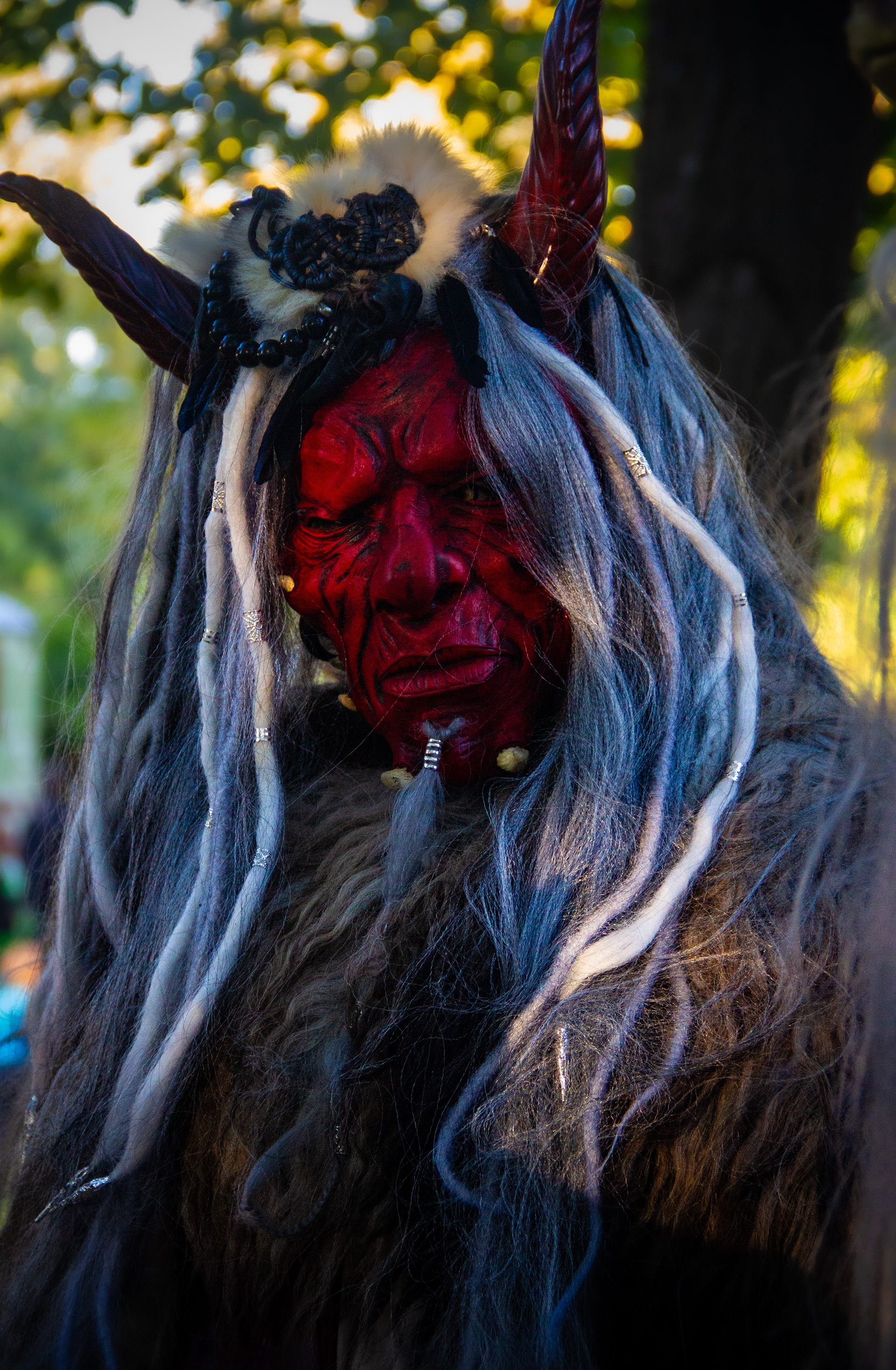 Fête Viking l'Isle-sur-la-Sorgue, octobre 2024