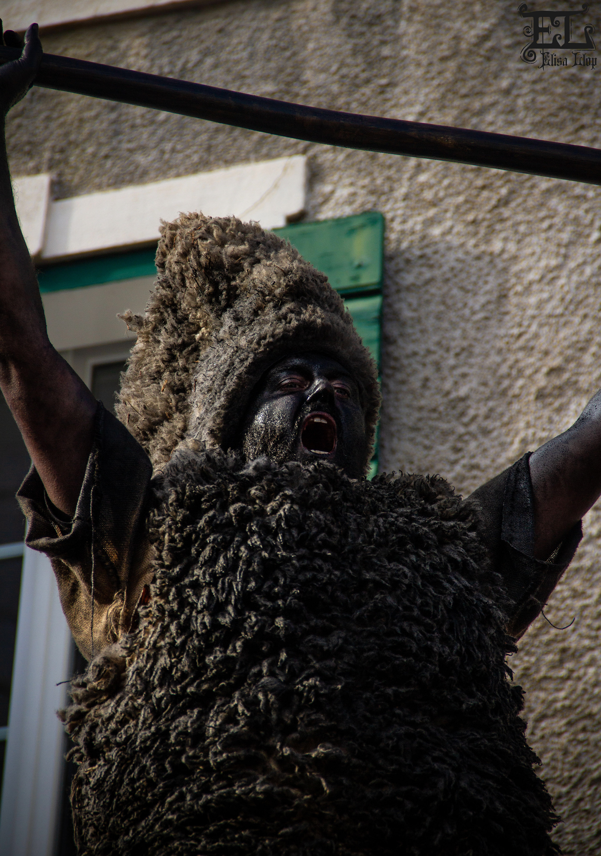 Fête de l'ours 2025 - Prats-de-Mollo-la-Preste. Désormais, 4 ours assurent le show devant l'afflux de monde en croissance