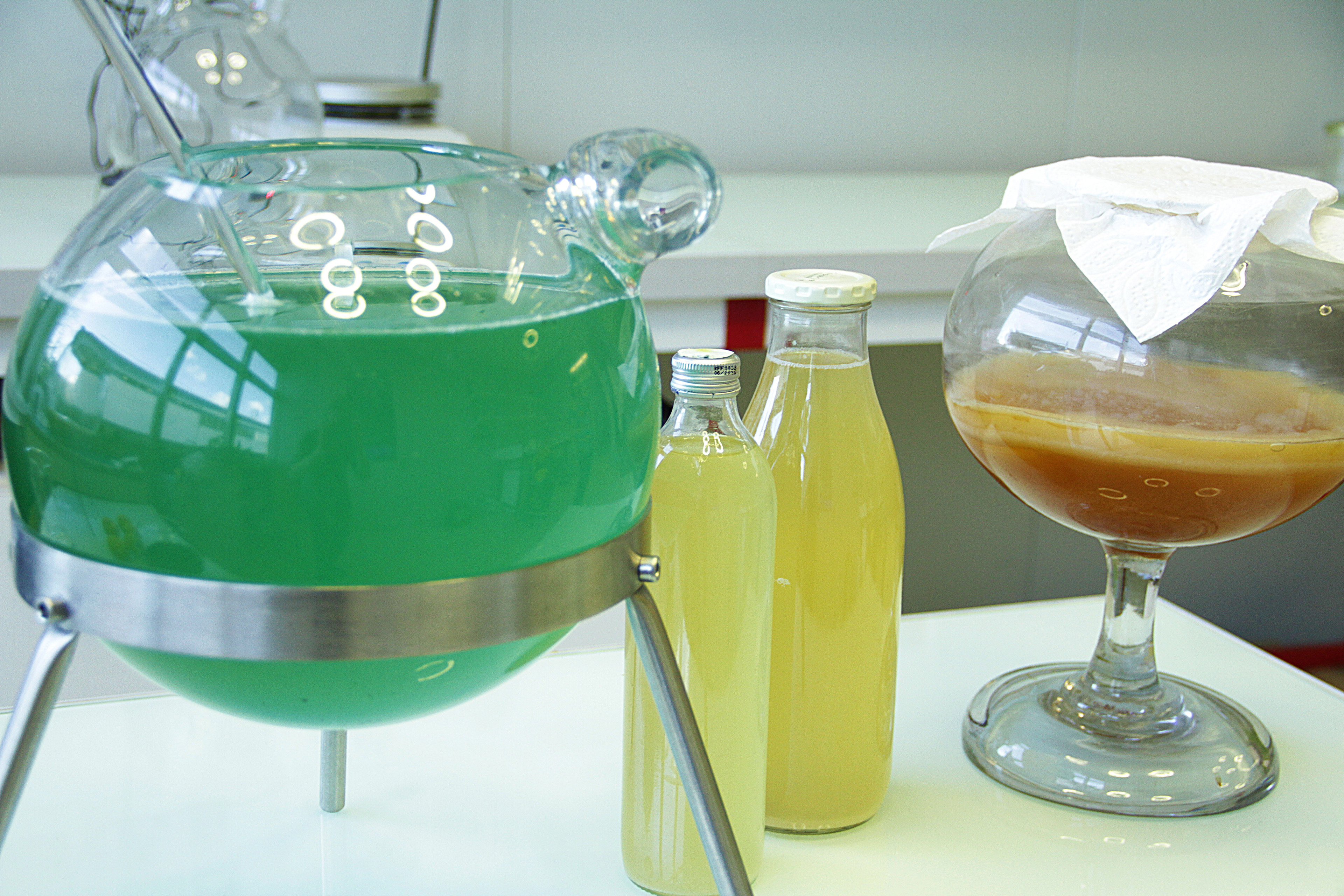 Orisae - 3 aliments légendaires. L'entreprise strasbourgeoise de kits d'aliments et boissons du futur, homemade, pour pour le corps et pour la planète. Parmi les kits phares, on retrouve notamment: kéfir, kombutcha... et pleins d'aliments surprises vous attendent!  Février 2020,  Strasbourg 