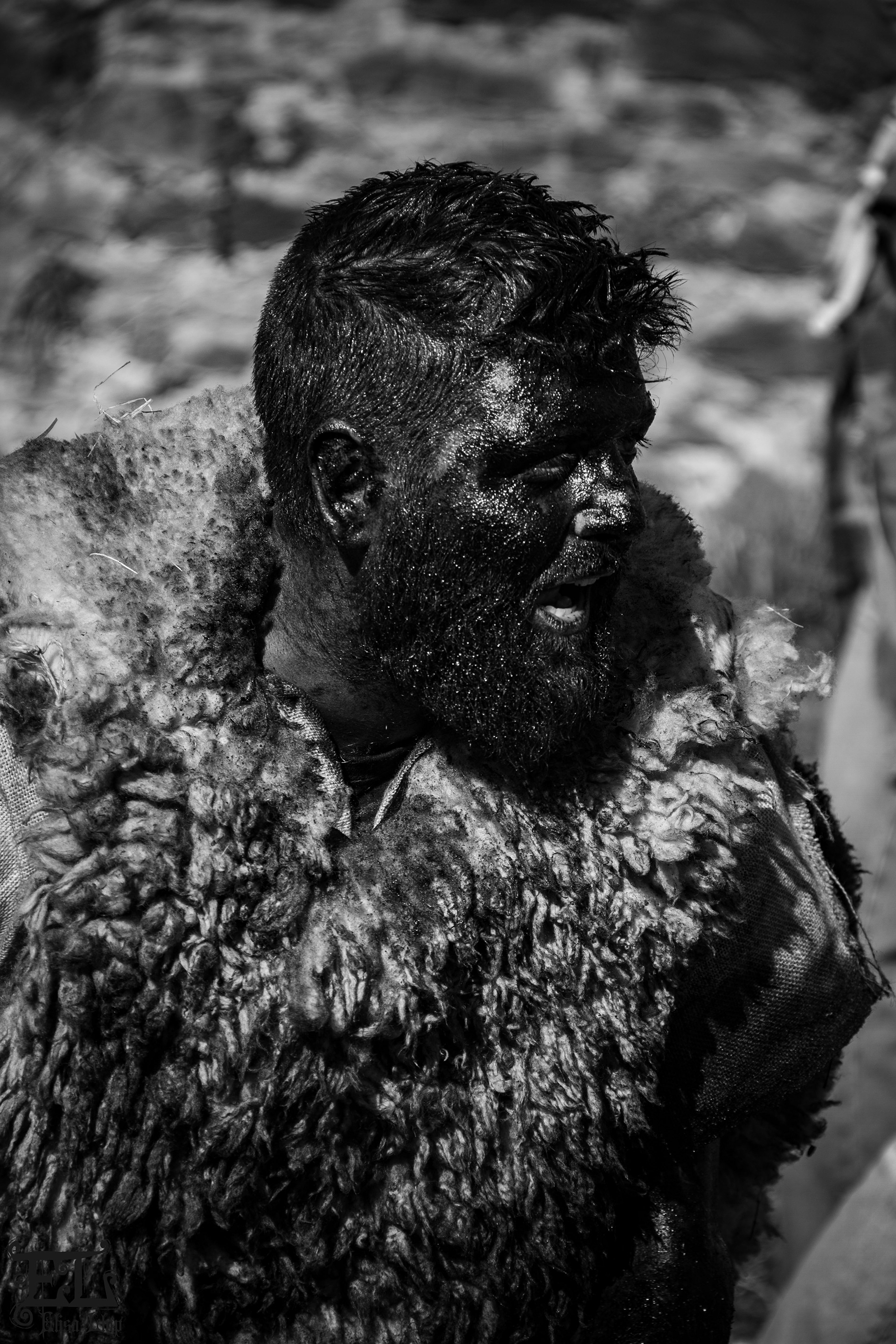 Fête de l'ours 2025 - Prats-de-Mollo-la-Preste. Désormais, 4 ours assurent le show devant l'afflux de monde en croissance