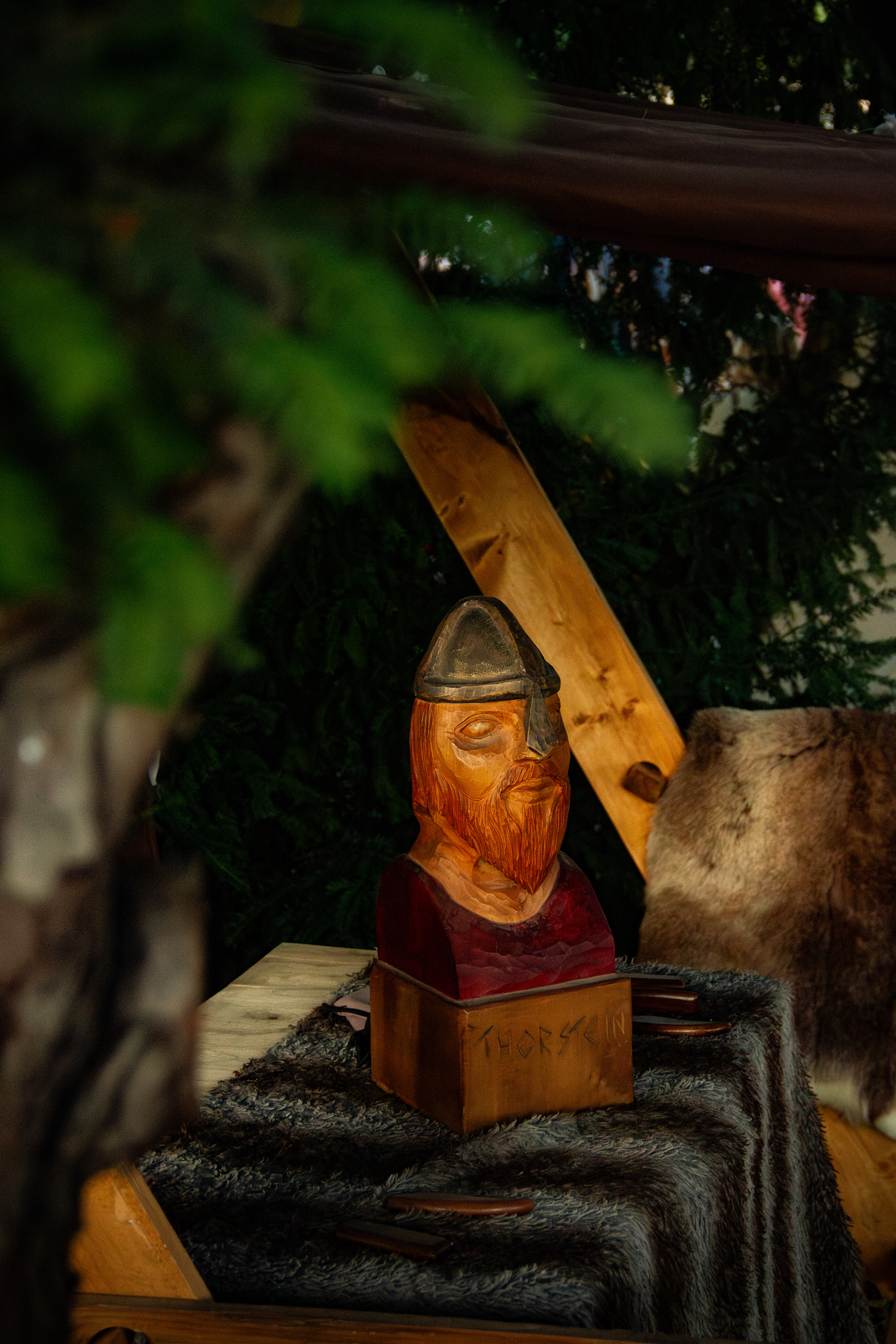 Fête Viking l'Isle-sur-la-Sorgue, octobre 2024