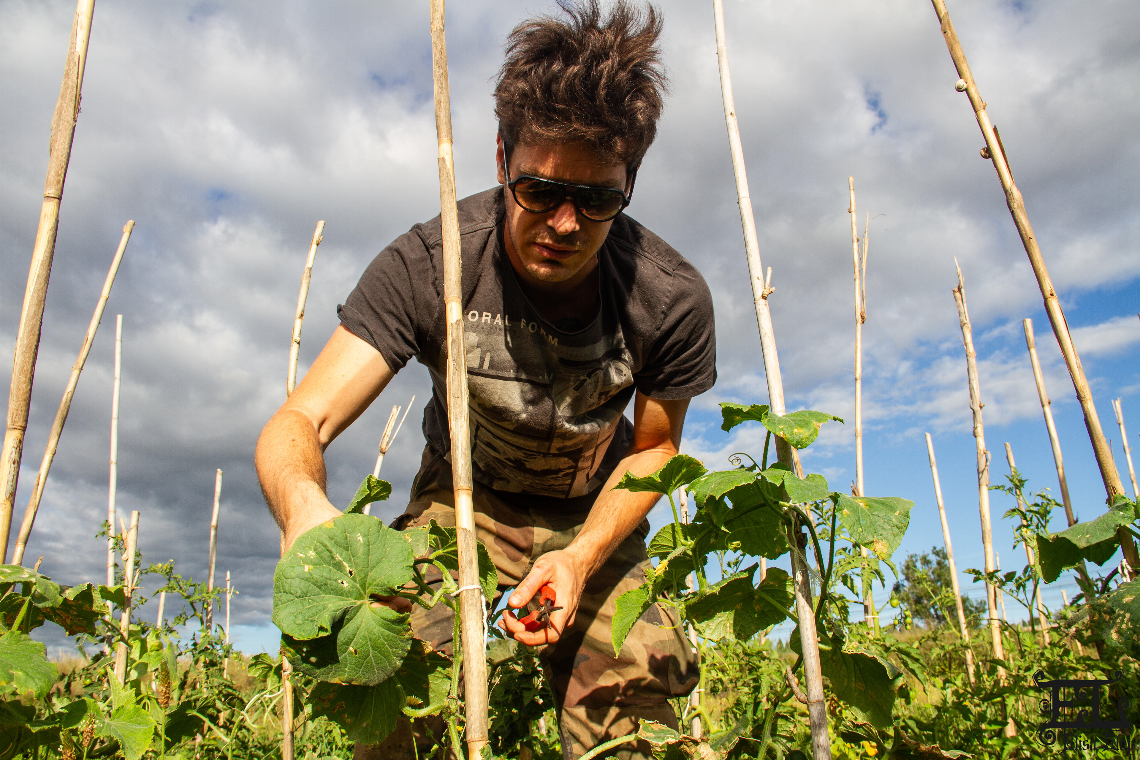 Thomas, jeune producteur 100% biologique, juin 2024, PO