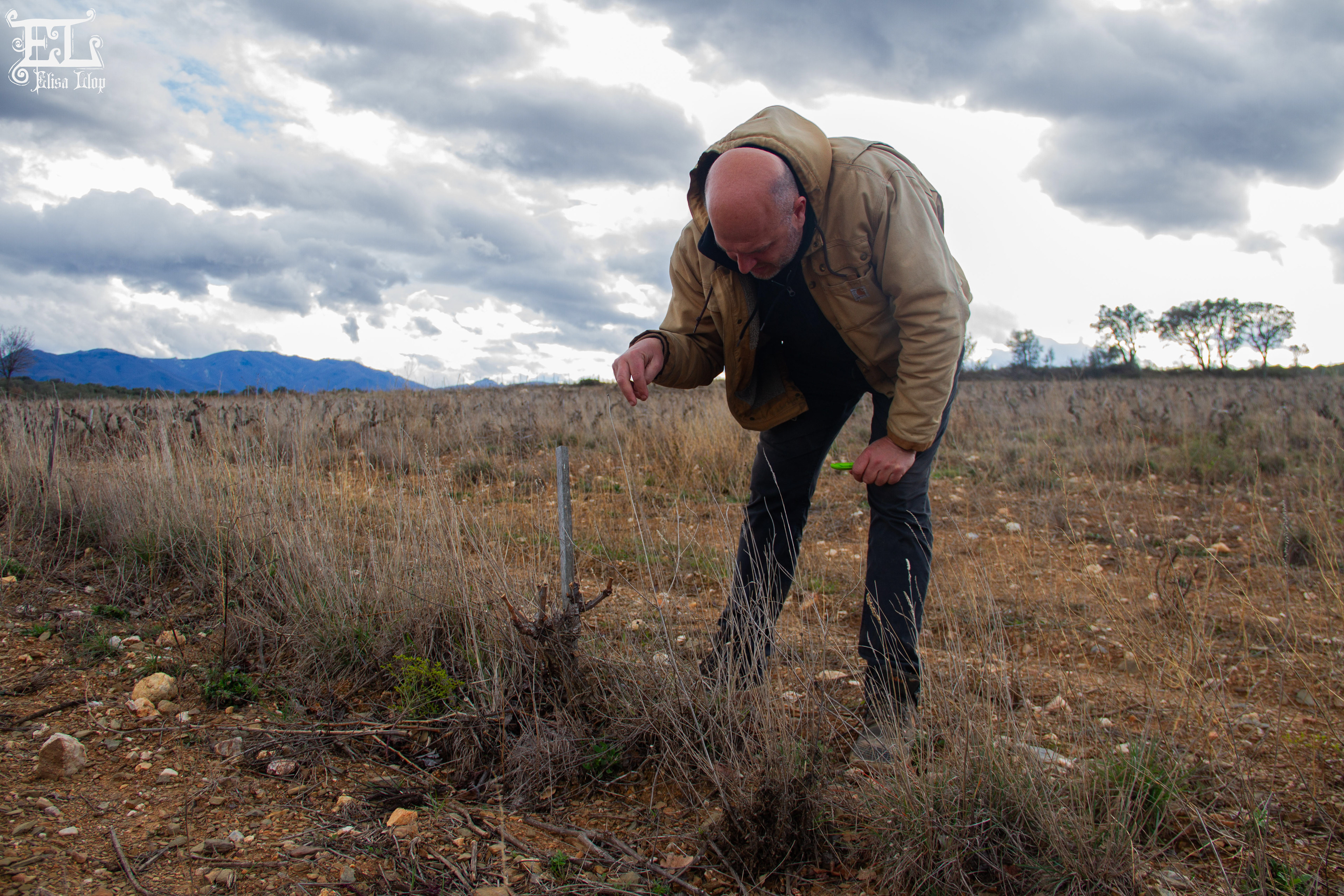 François, du domaine des Conques, vin biologique, Mars 2024, PO