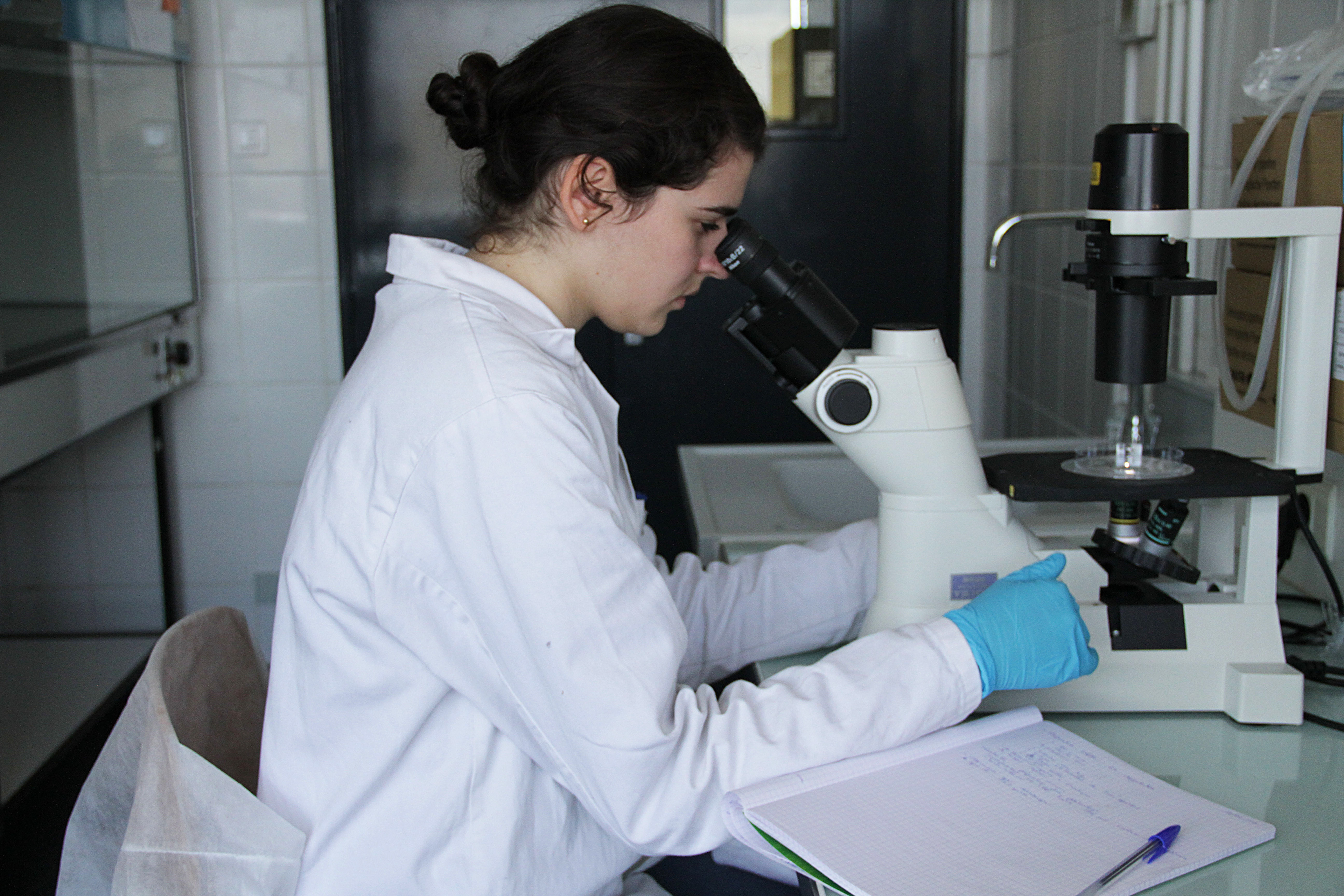 Orisae - Observation et contrôle des produits au microscope. L'entreprise strasbourgeoise de kits d'aliments et boissons du futur, homemade, pour pour le corps et pour la planète. Parmi les kits phares, on retrouve notamment: kéfir, kombutcha... et pleins d'aliments surprises vous attendent!  Février 2020,  Strasbourg 