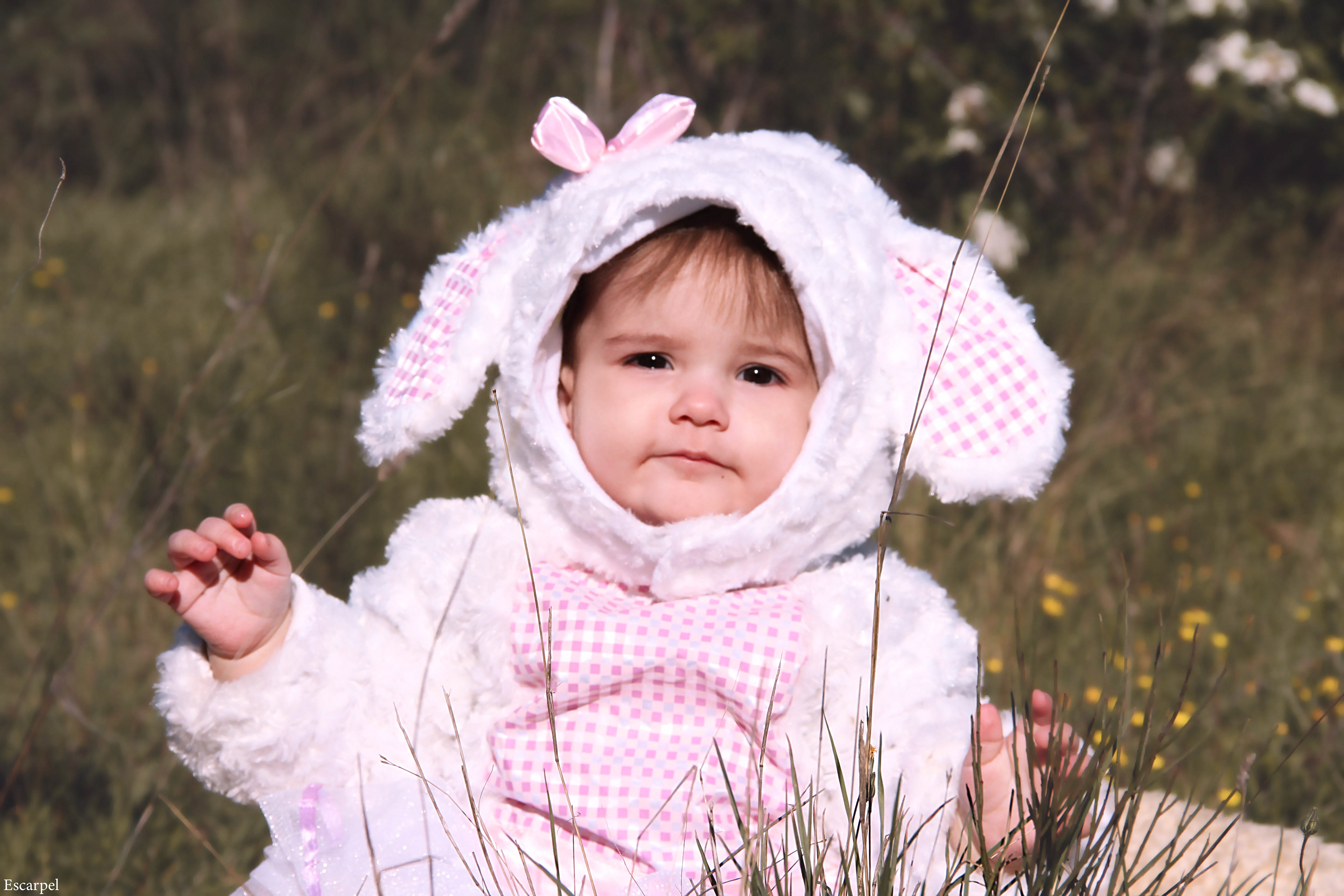 Bébé bélier, été 2021