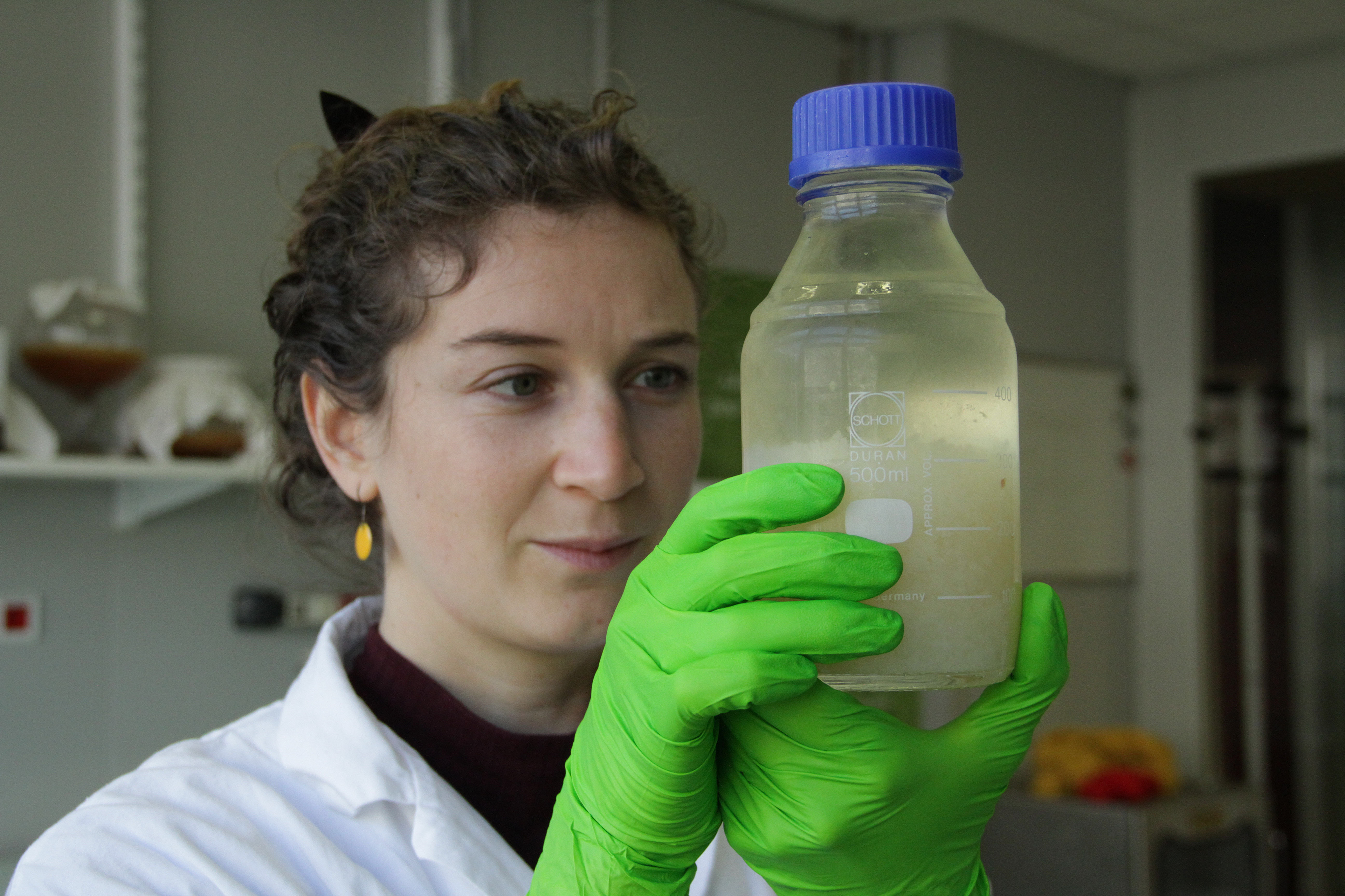 Orisae - Préparation et contrôle des aliments.  L'entreprise strasbourgeoise de kits d'aliments et boissons du futur, homemade, pour pour le corps et pour la planète. Parmi les kits phares, on retrouve notamment: kéfir, kombutcha... et pleins d'aliments surprises vous attendent!  Février 2020,  Strasbourg 